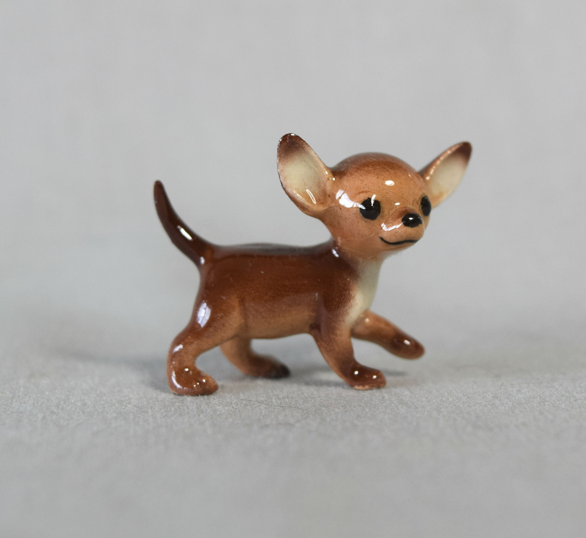 Chihuahua puppy, walking main image