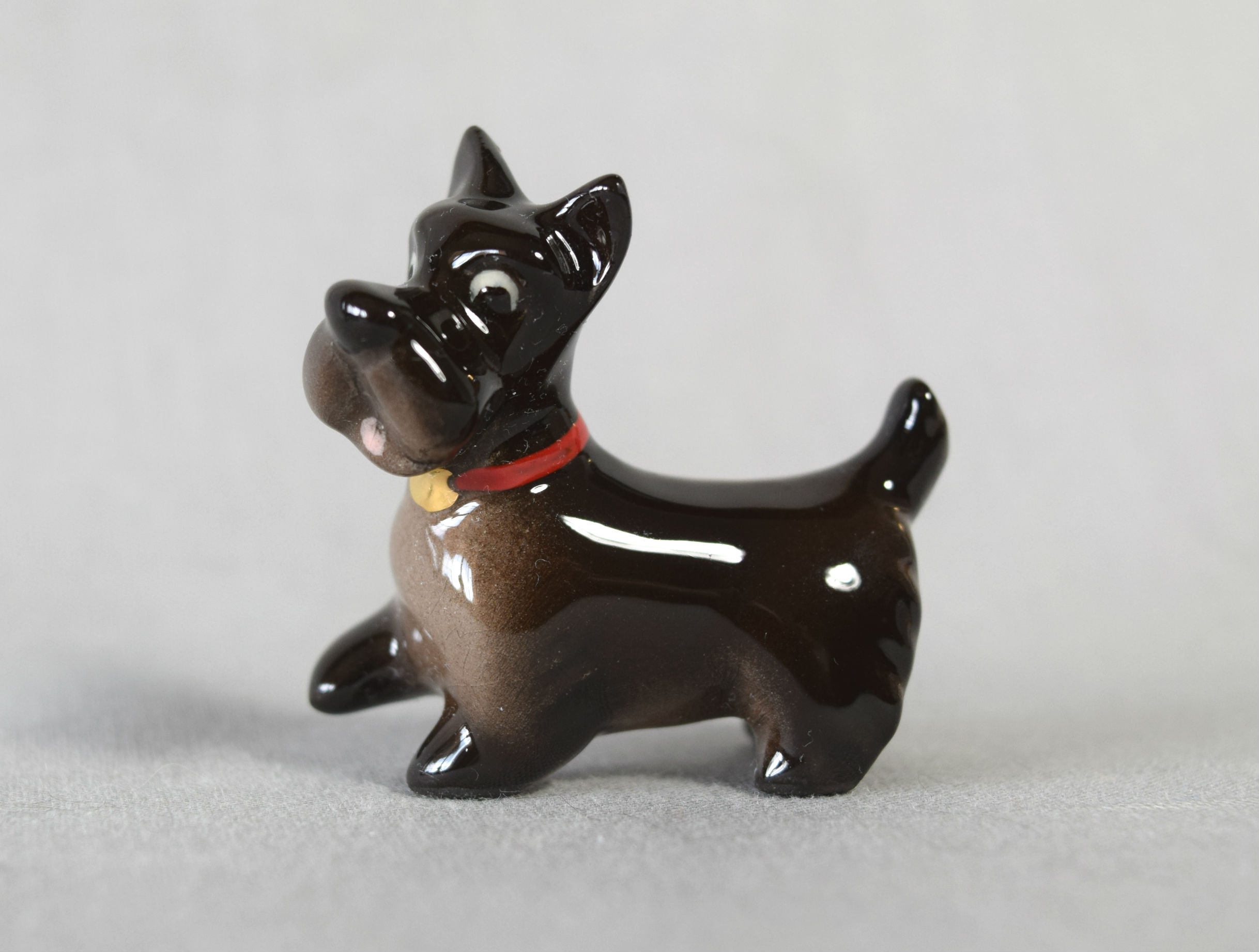 Scottish Terrier-image