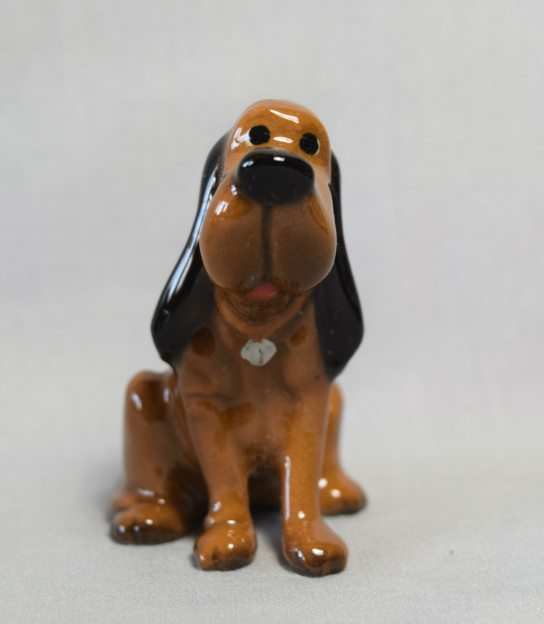 Bloodhound, seated-image