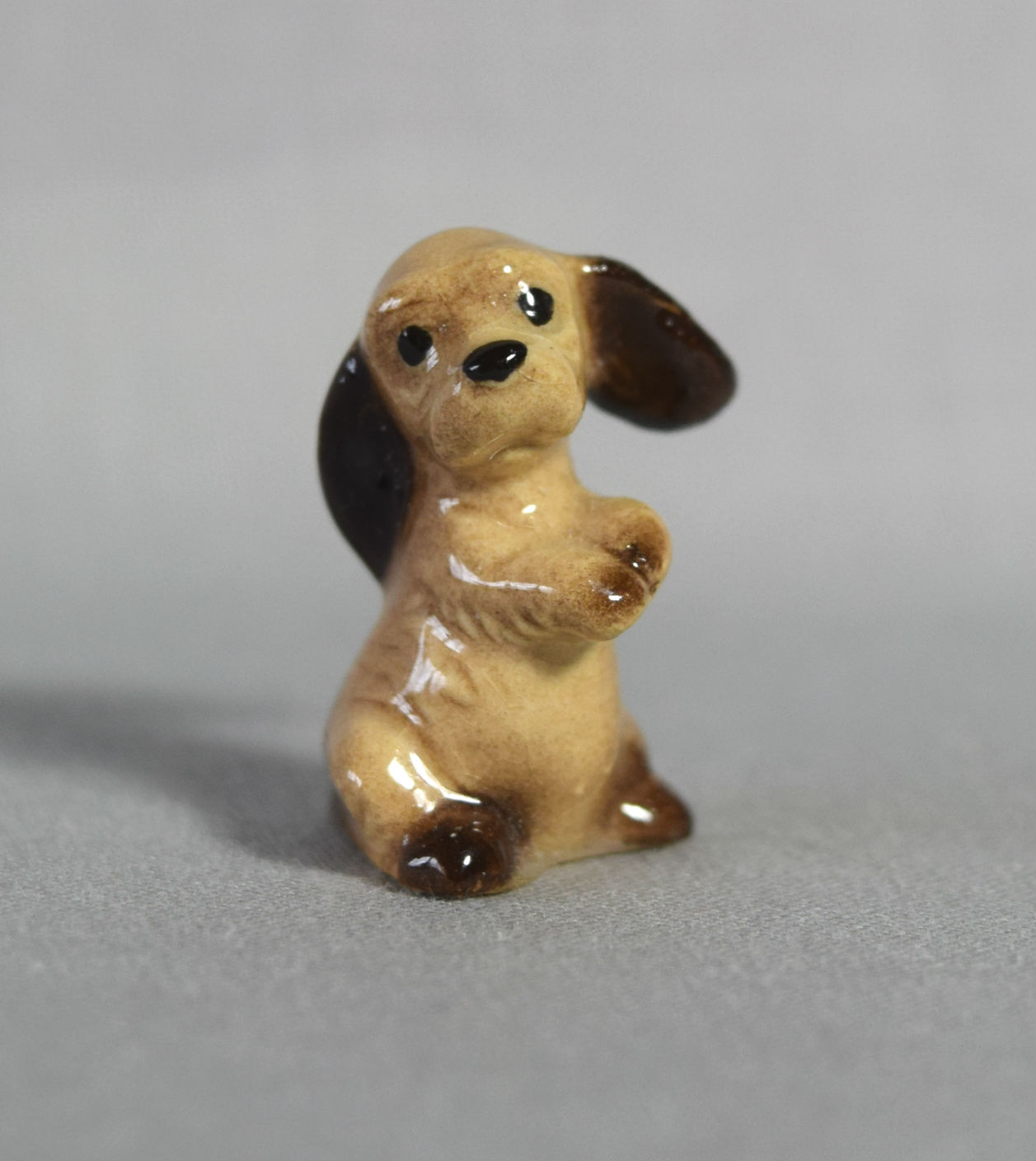 Cocker Spaniel puppy, on hind legs, paws together-image