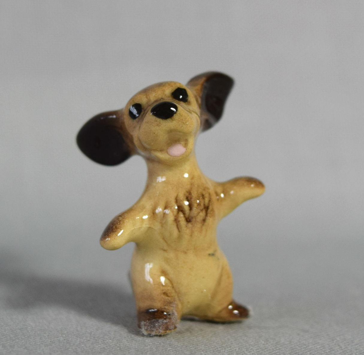 Cocker Spaniel puppy, on hind legs, paws out-image