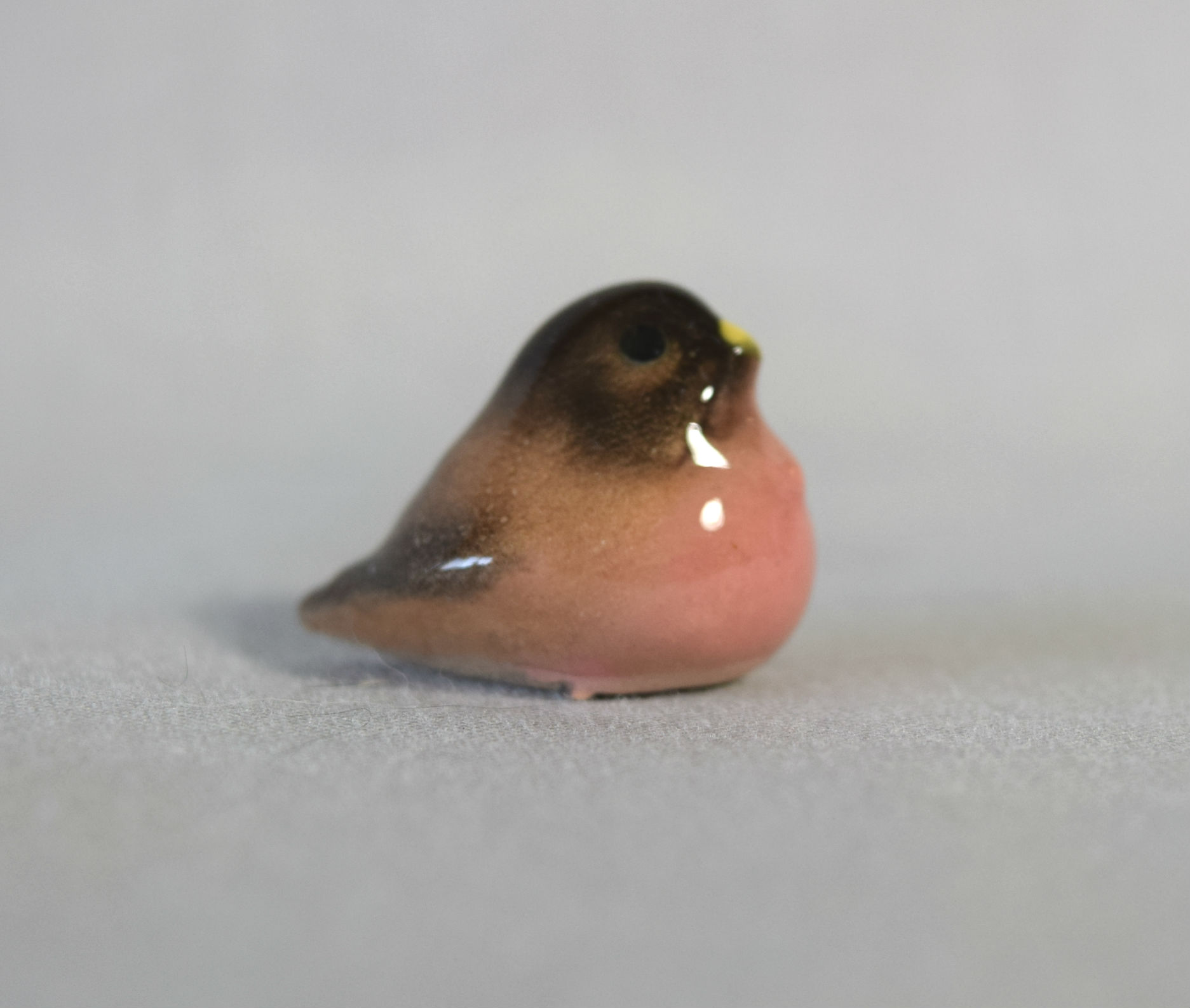 Robin Baby, beak closed-image
