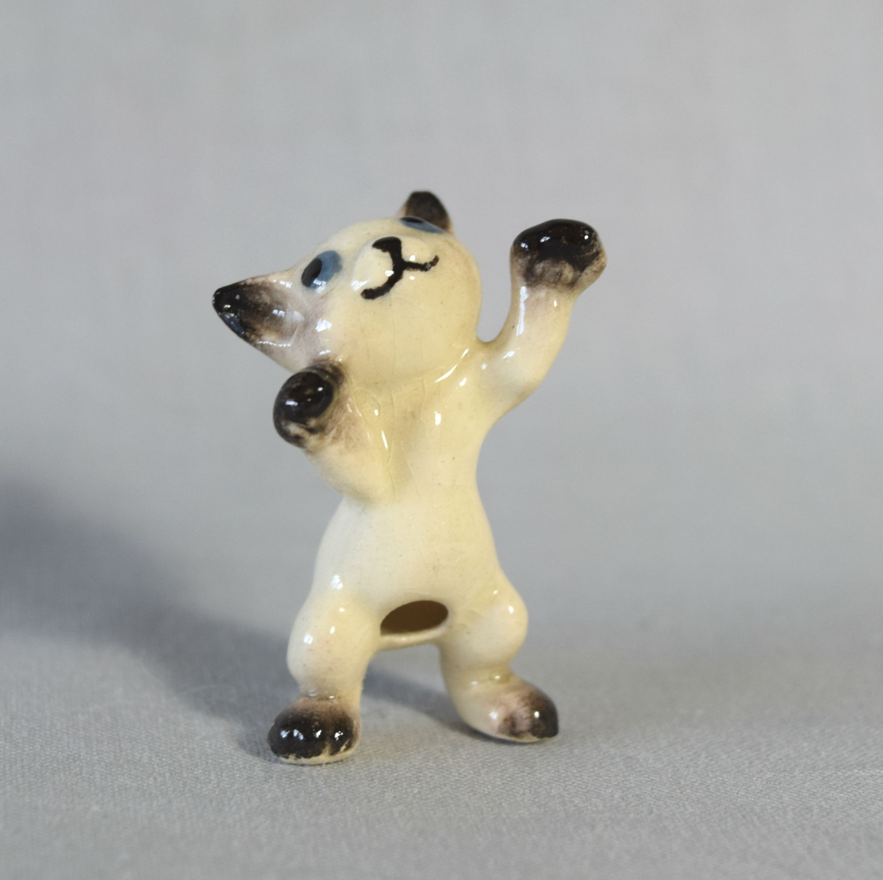 Kitten on hind legs-image