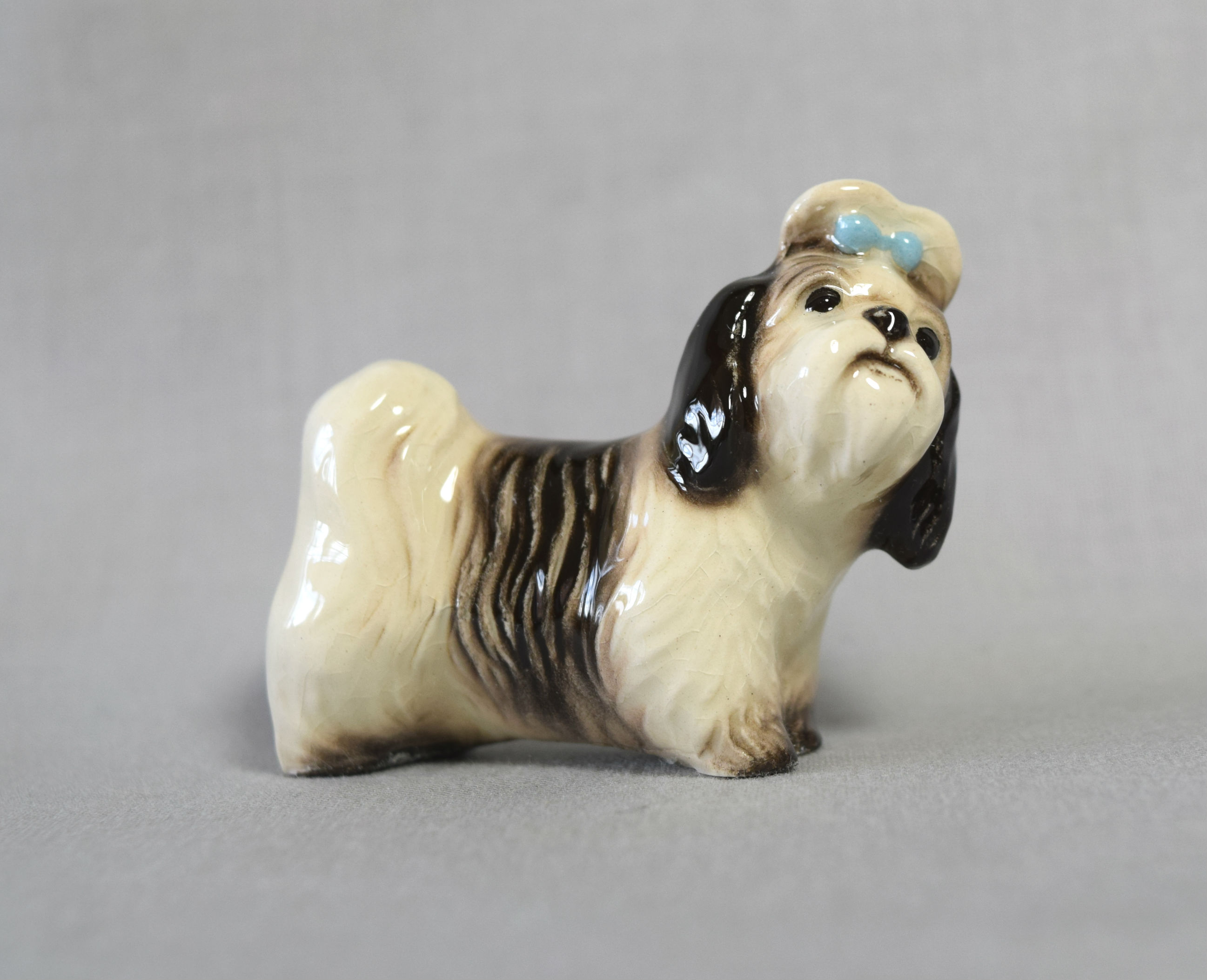 Shih Tzu “Mandy”-image