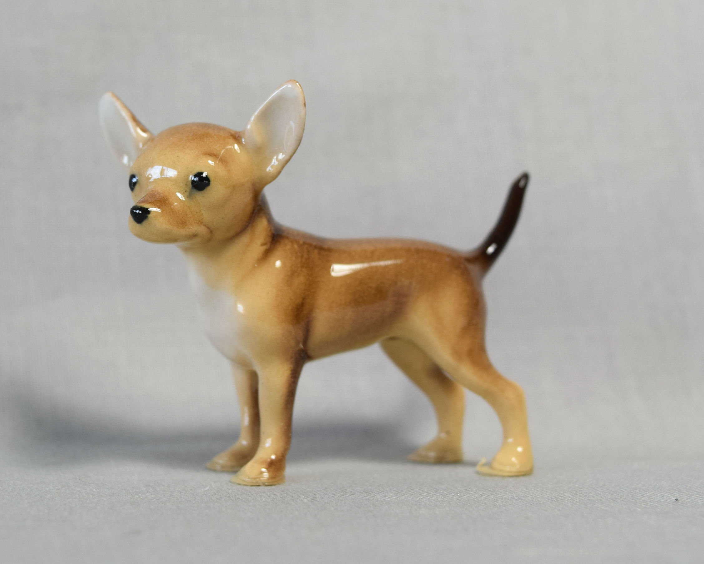 Chihuahua, facing left -image