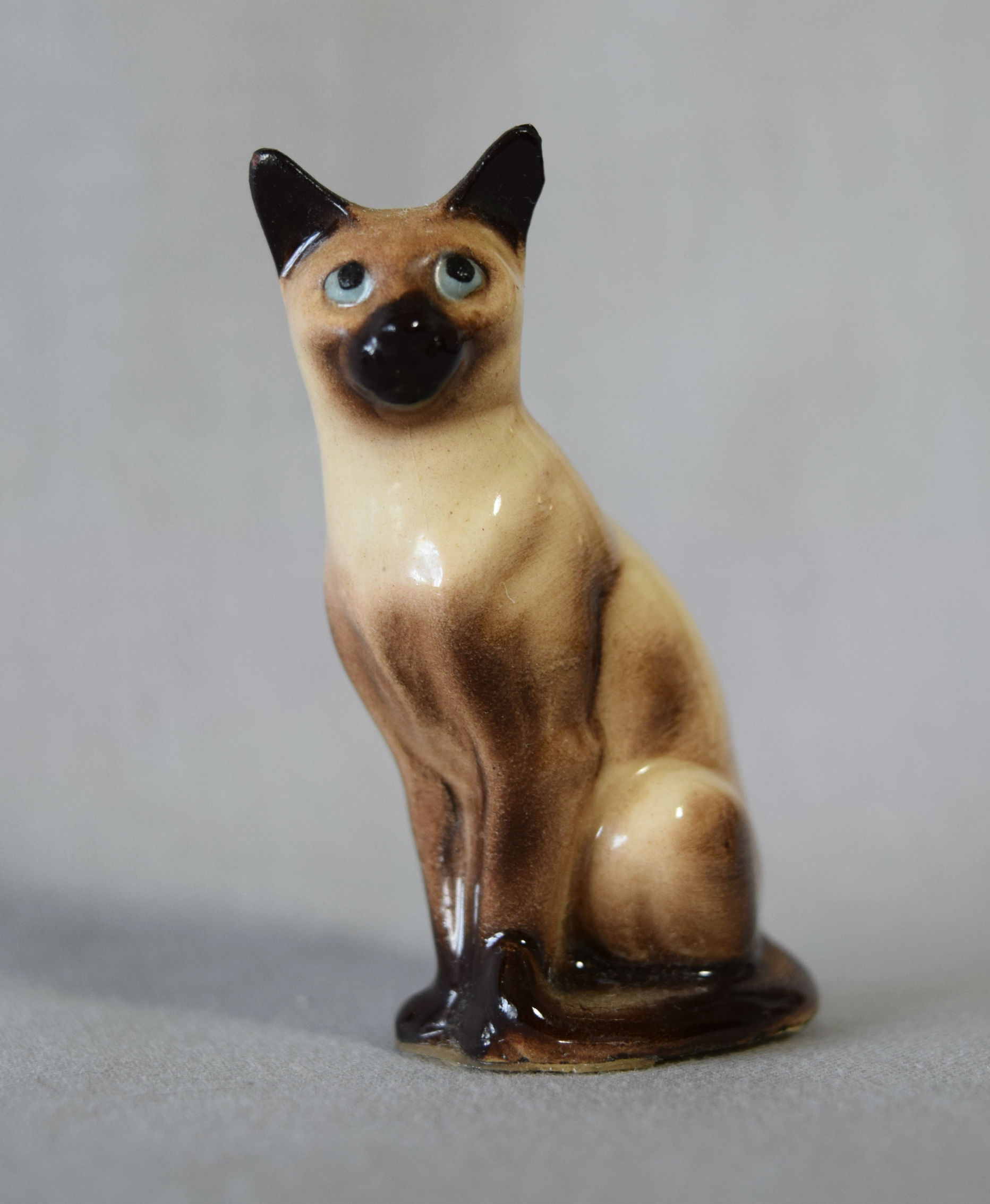 Siamese Cat, seated-image