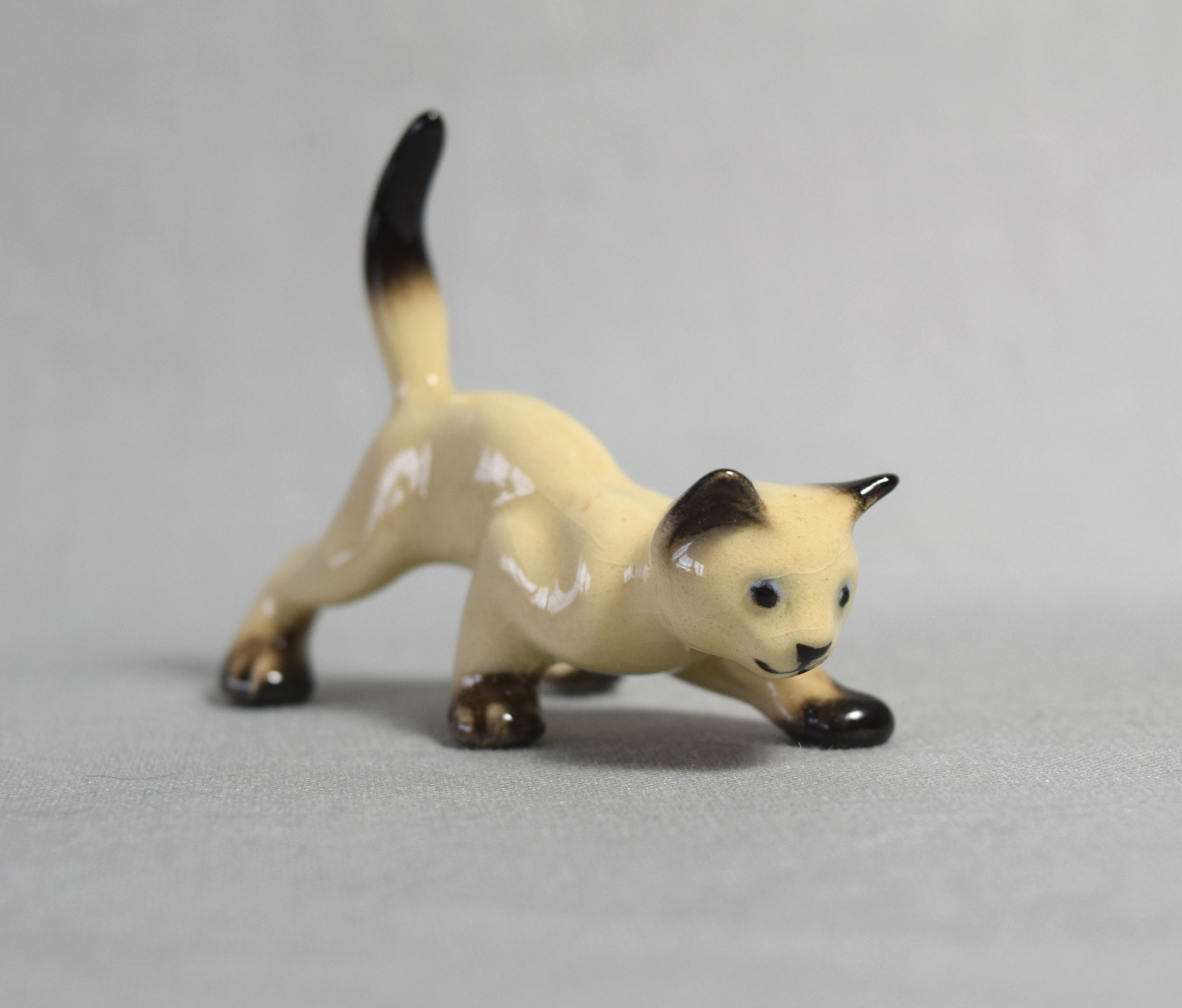 Siamese Kitten, creeping-image