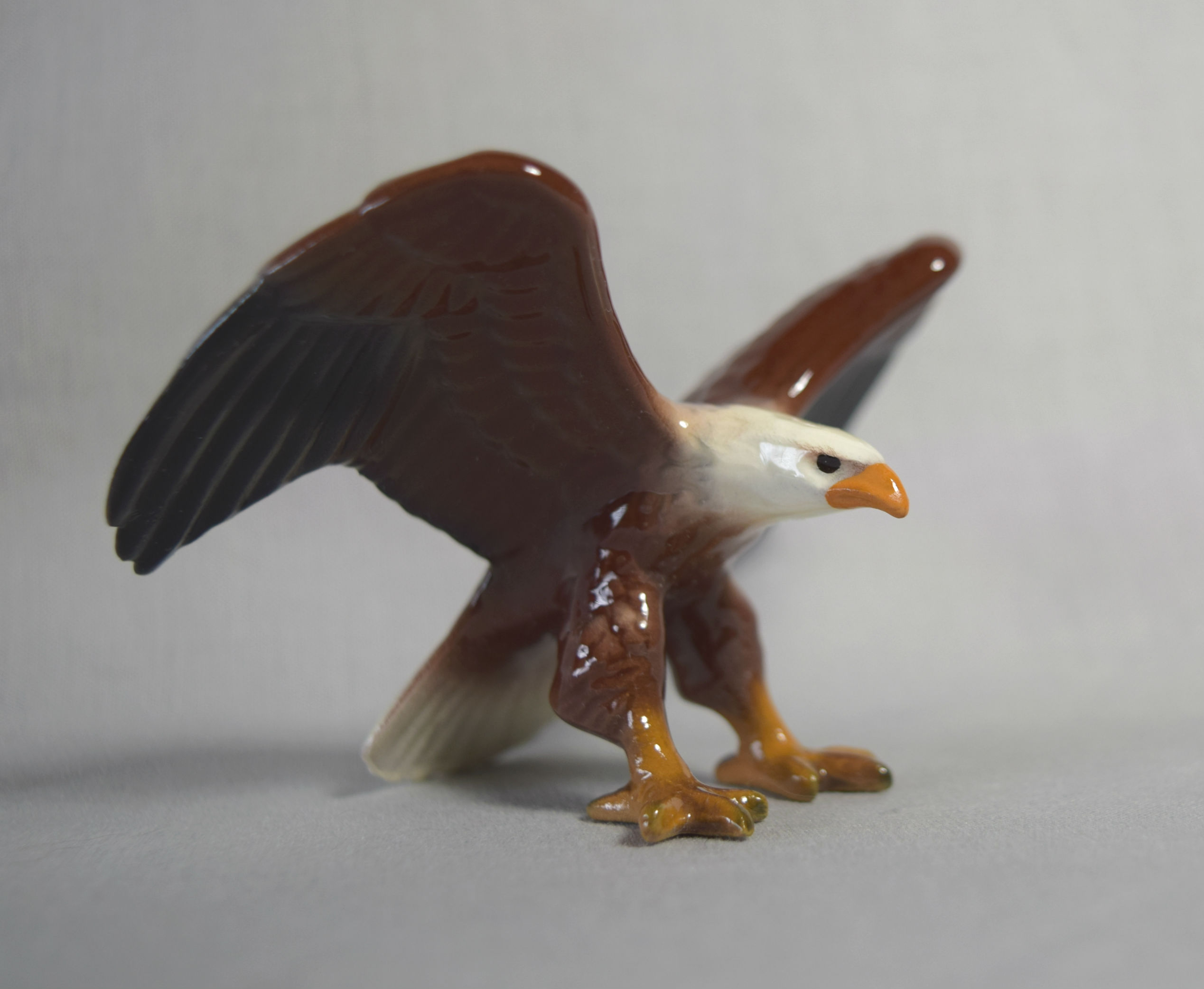 Eagle, head forward -image