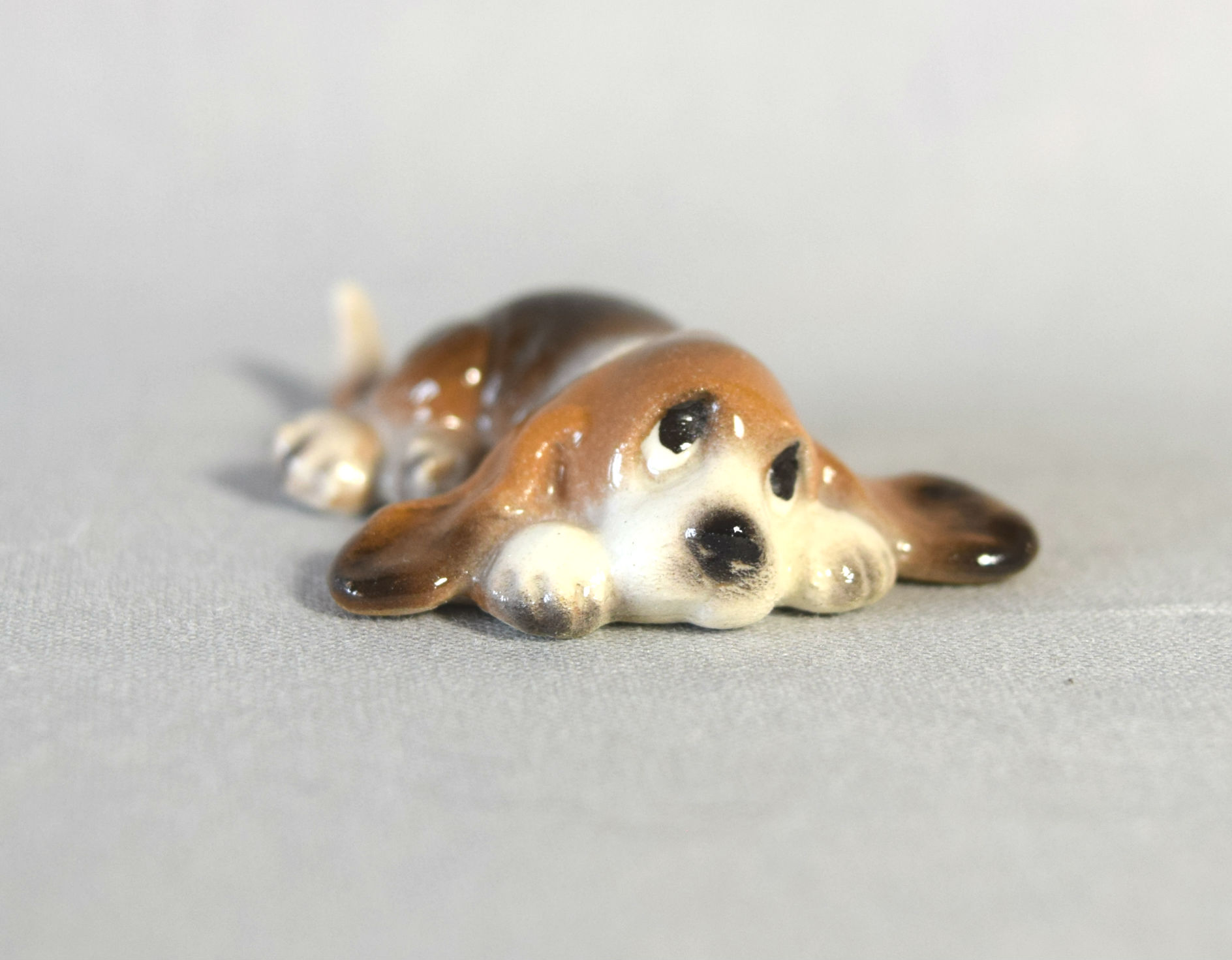 Basset Hound puppy, lying  -image