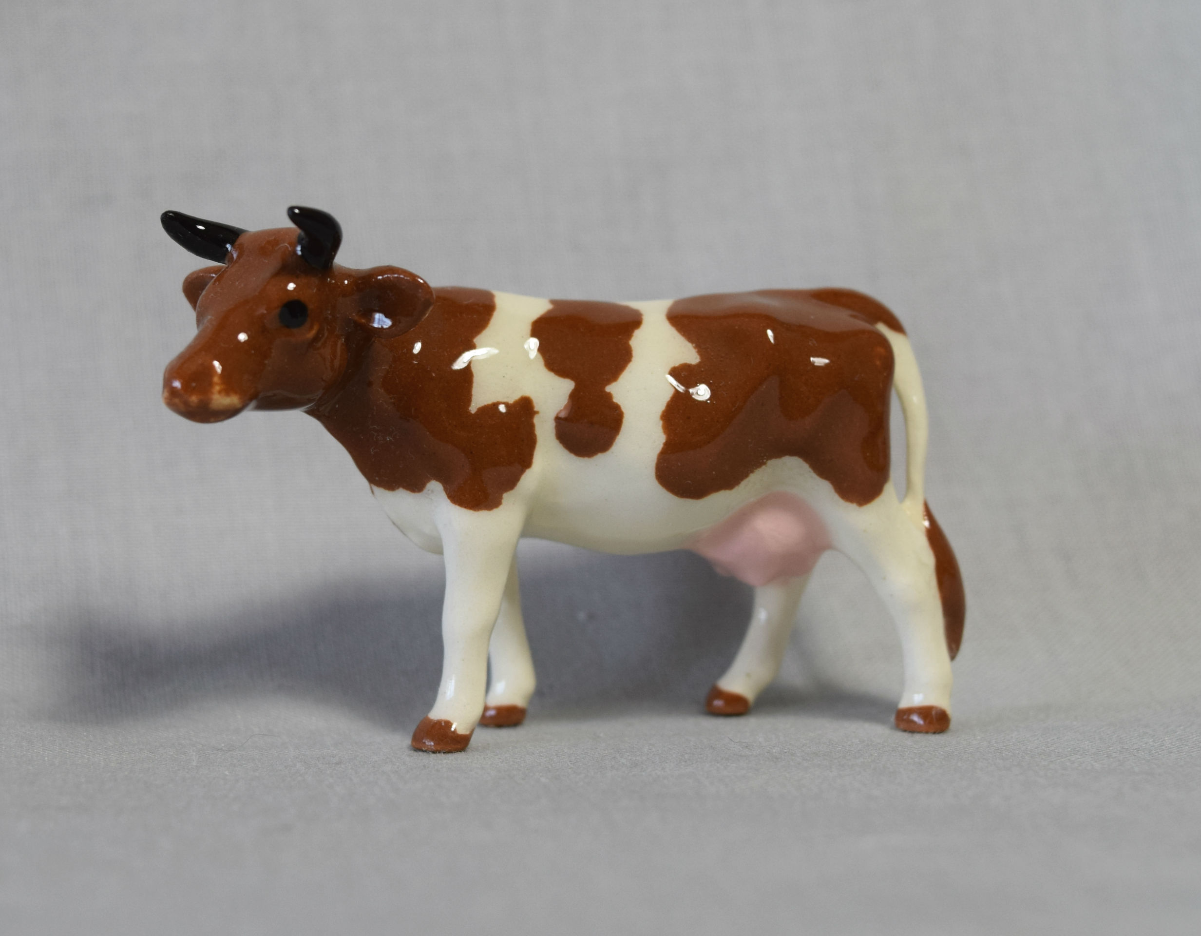 Guernsey Cow-image