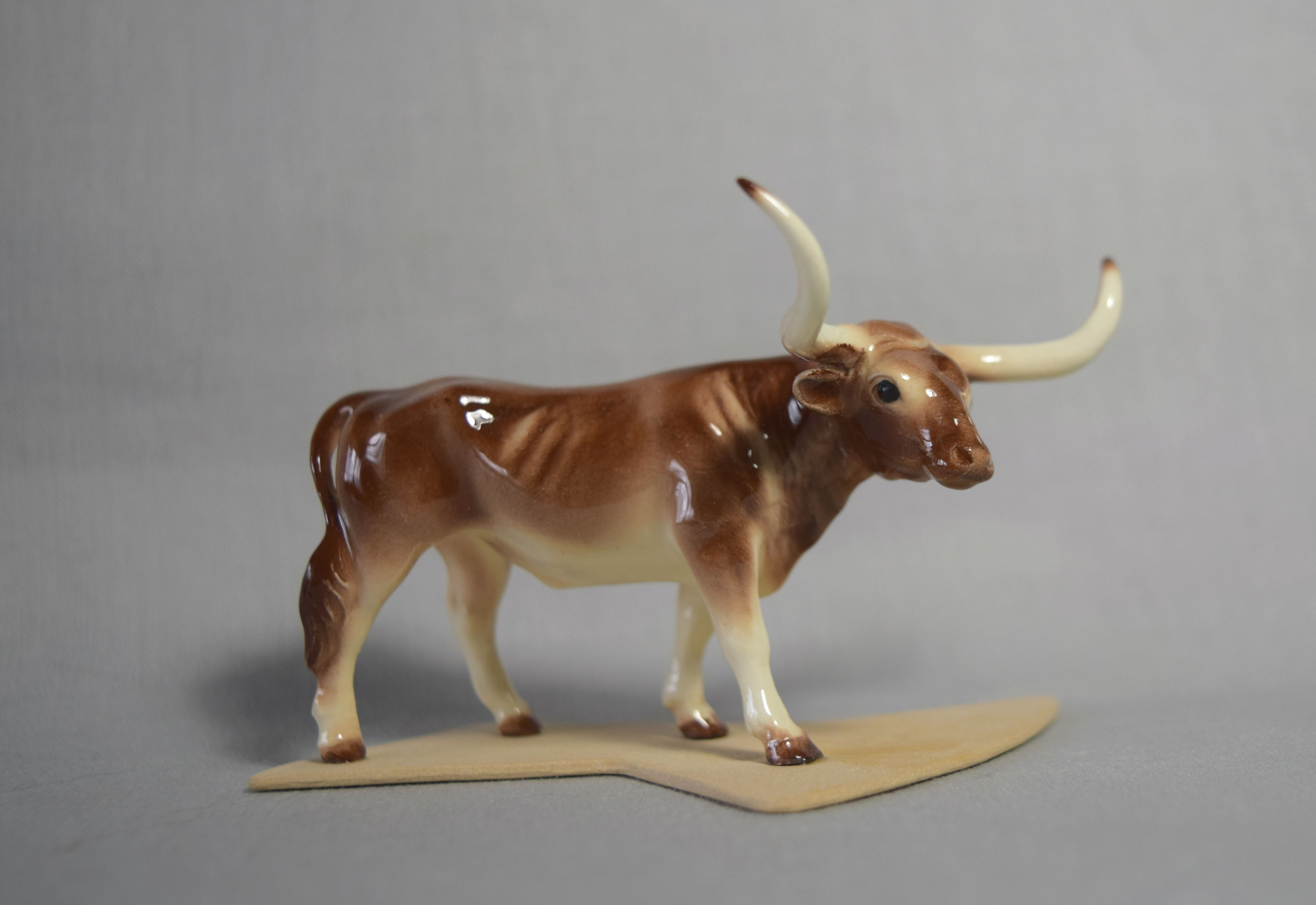 Long Horn Steer-image