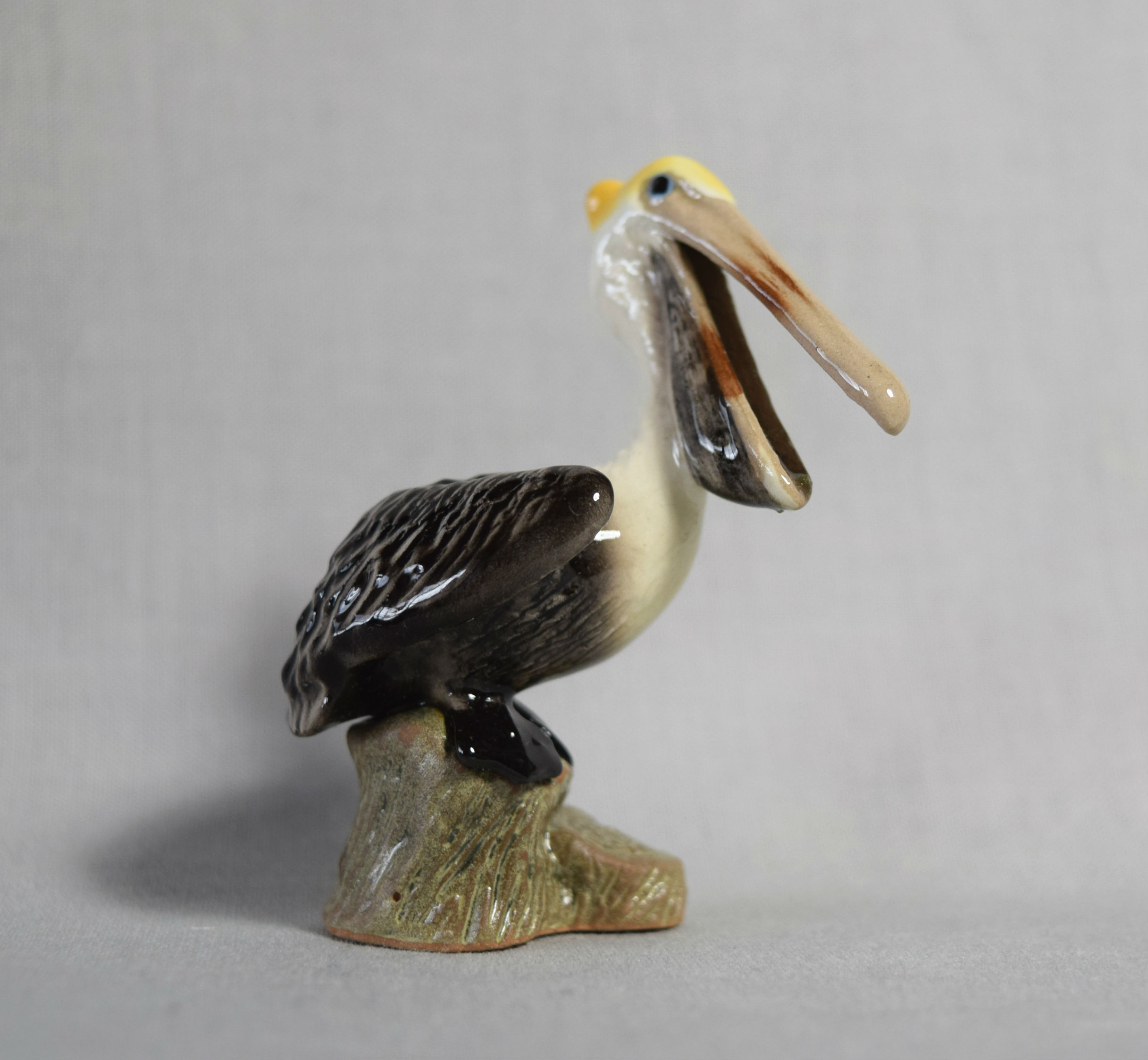 Pelican on piling-image