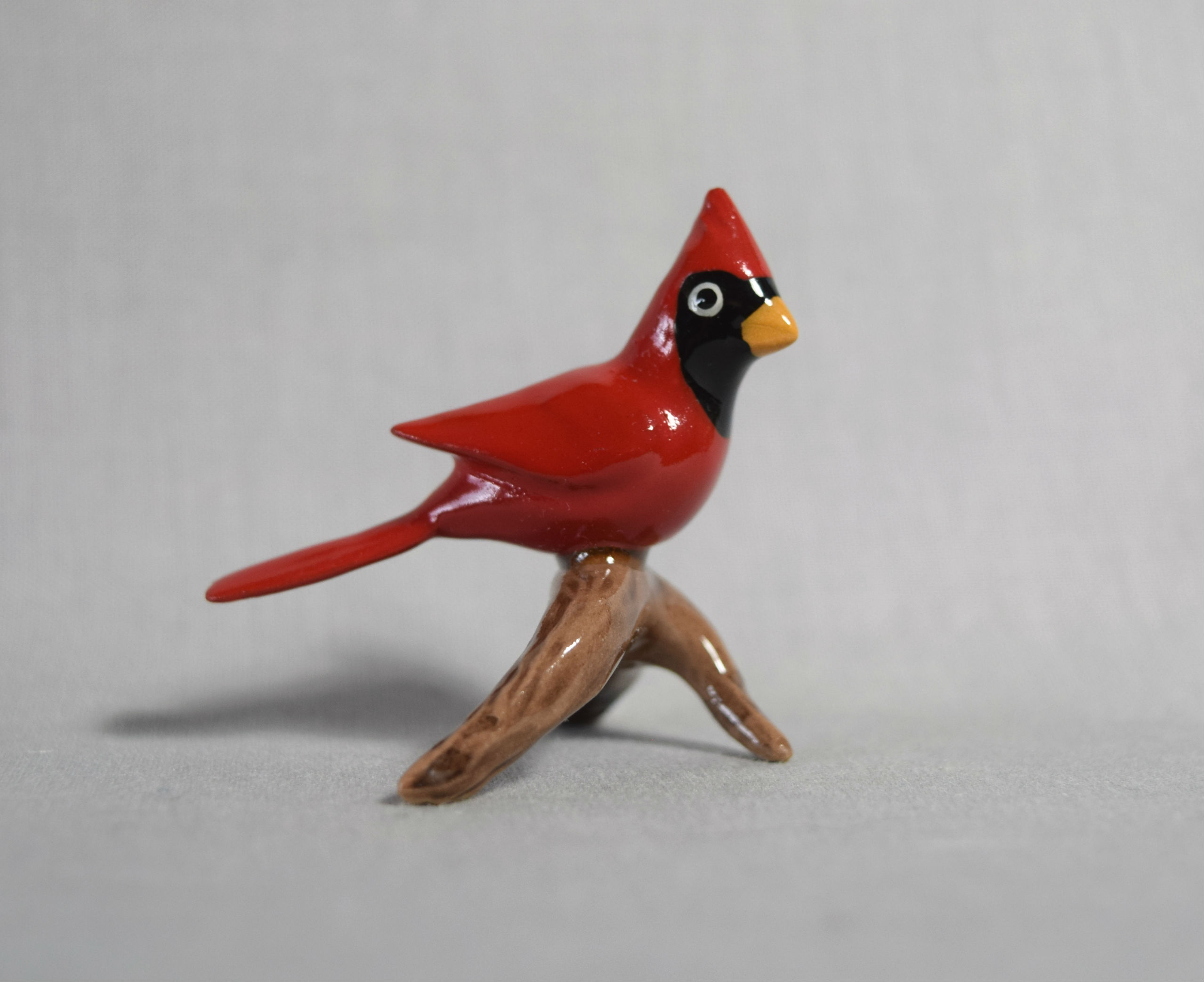 Cardinal on base main image