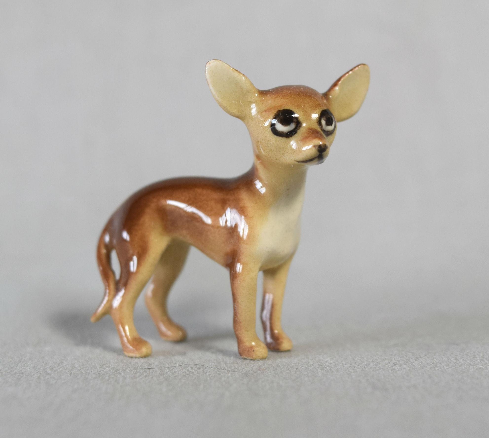 Chihuahua Mama-image