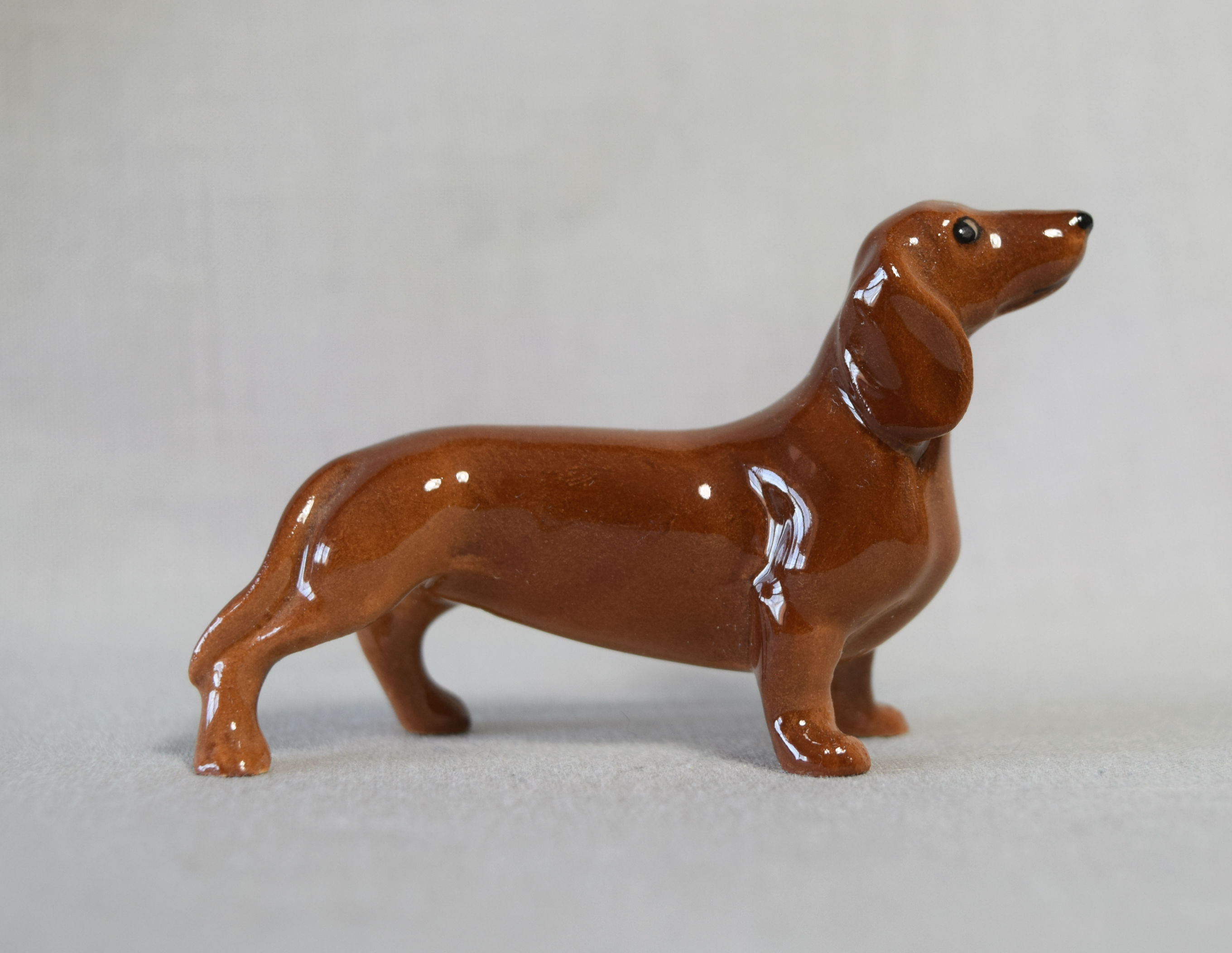 New Dachshund-image