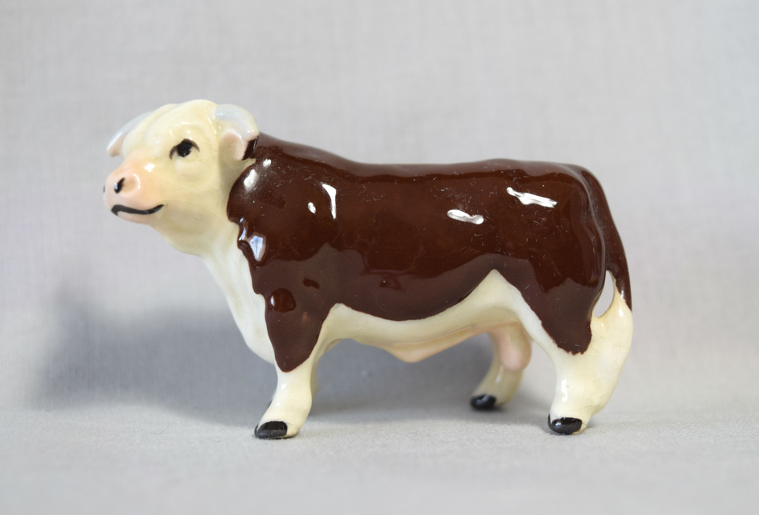 Hereford Bull-image