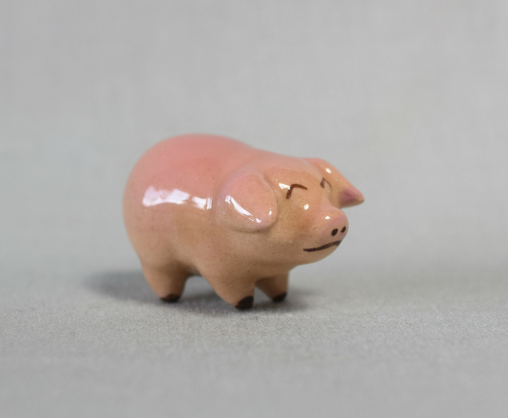 Tiny Pig Mama-image