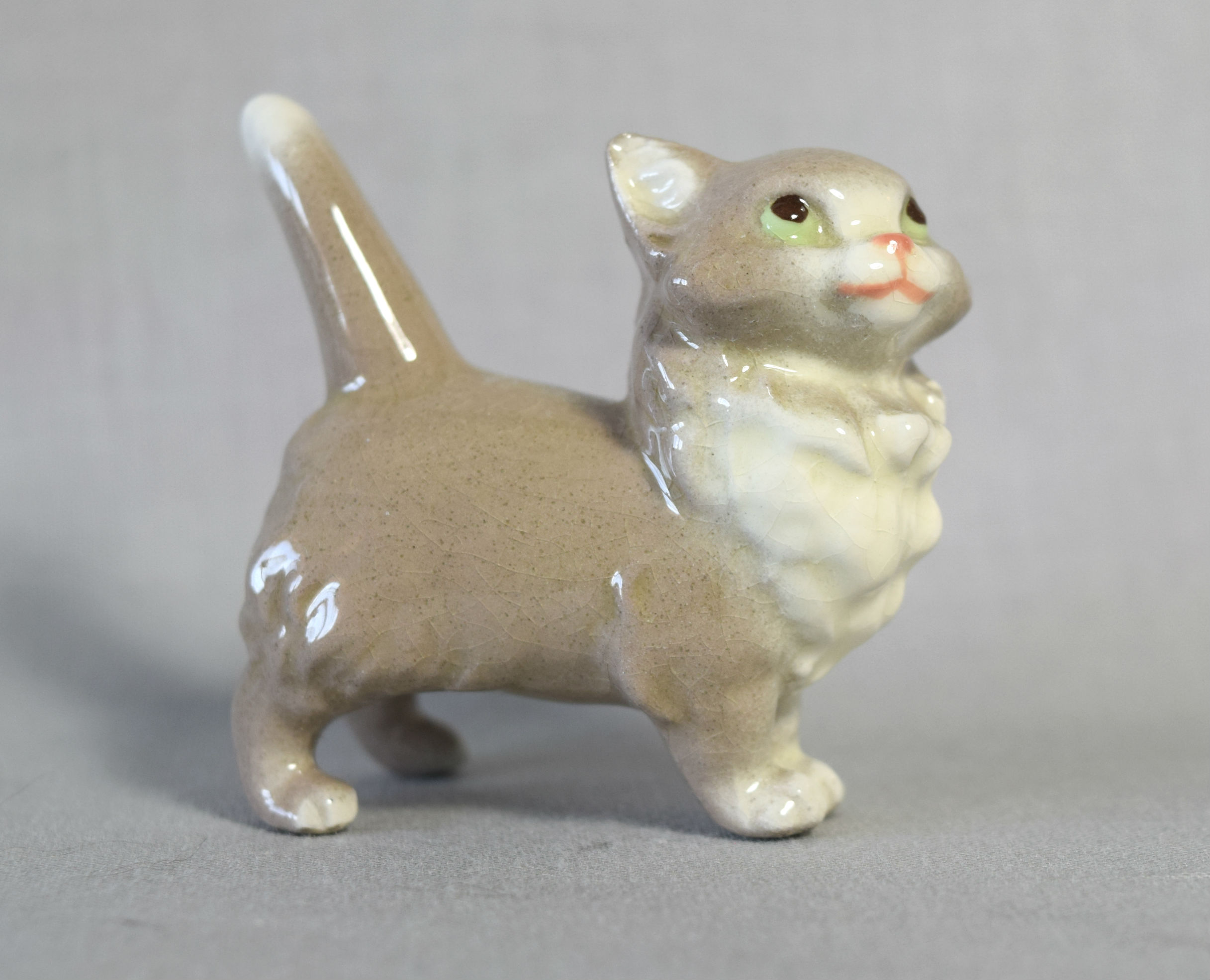 Persian Cat Mama, standing-image