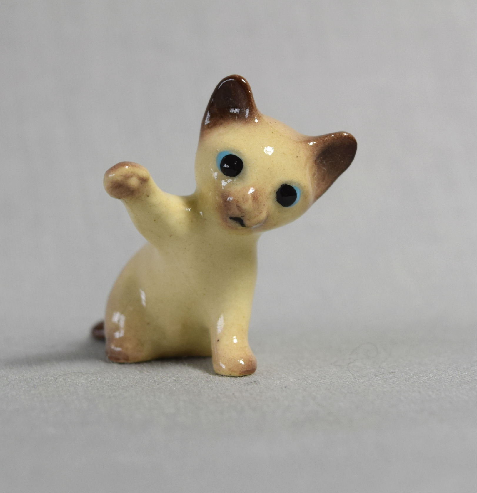 New Siamese Kitten, paw up main image
