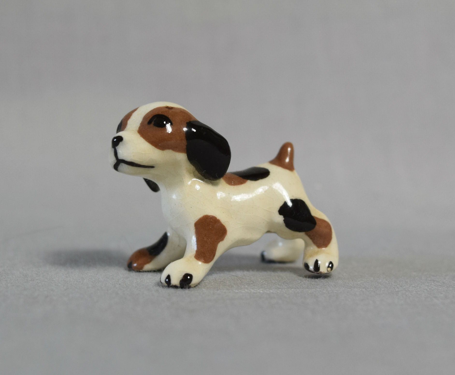 Beagle Puppy, standing-image