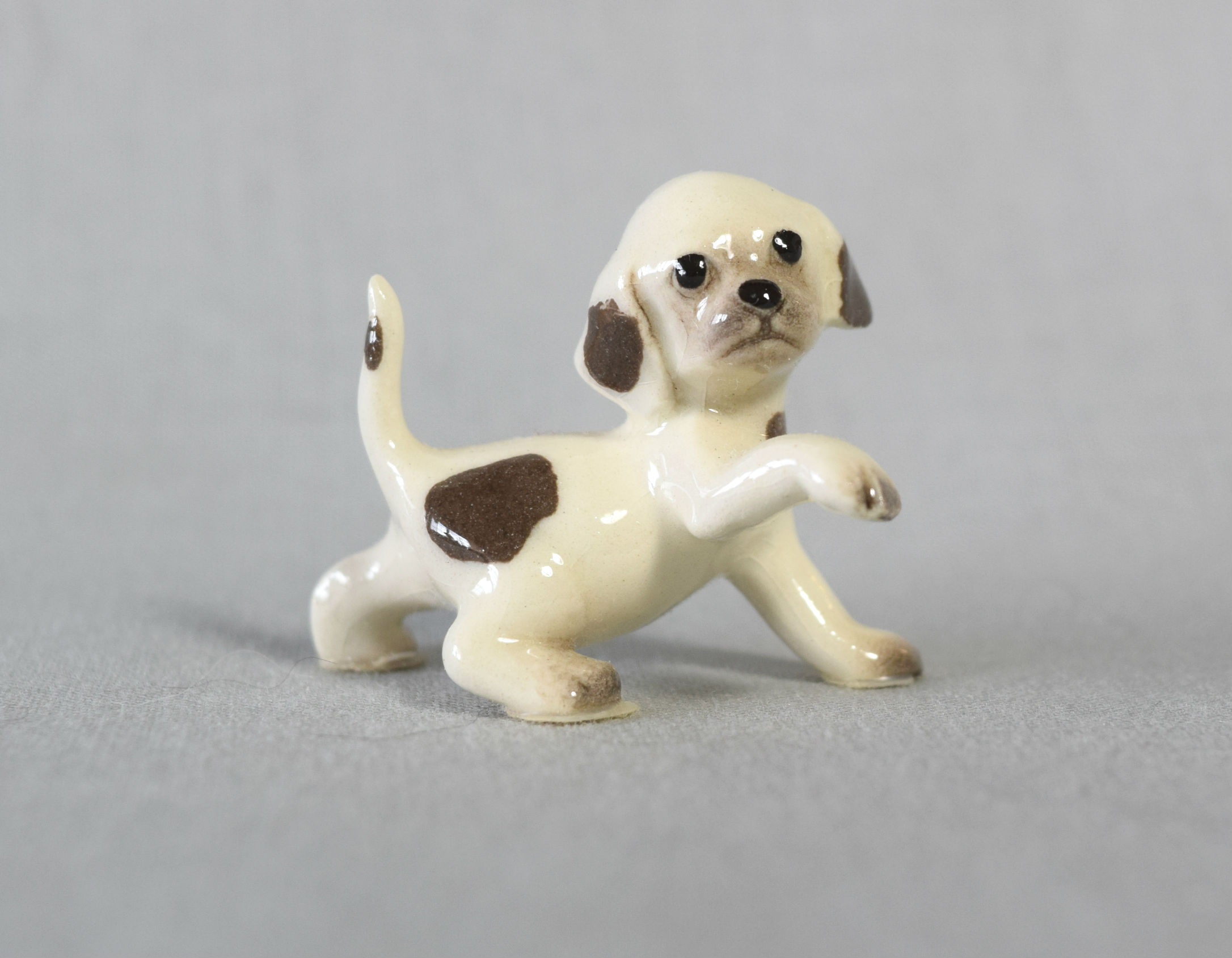 Dalmatian/Beagle pup, paw up-image