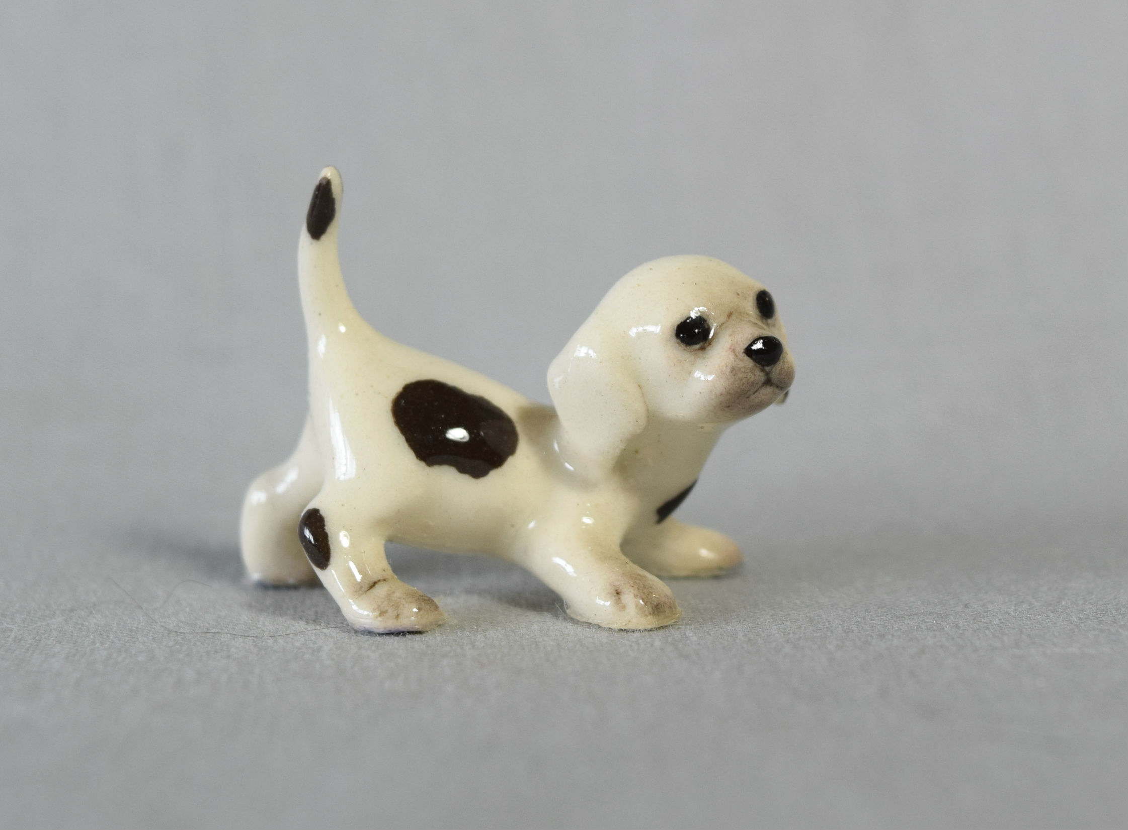 Dalmatian/Beagle pup, crouching main image