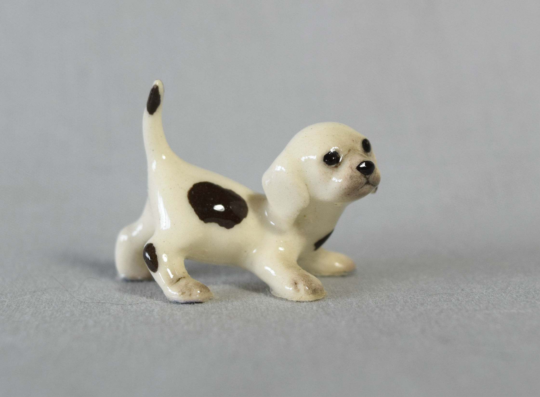 Dalmatian/Beagle pup, crouching-image