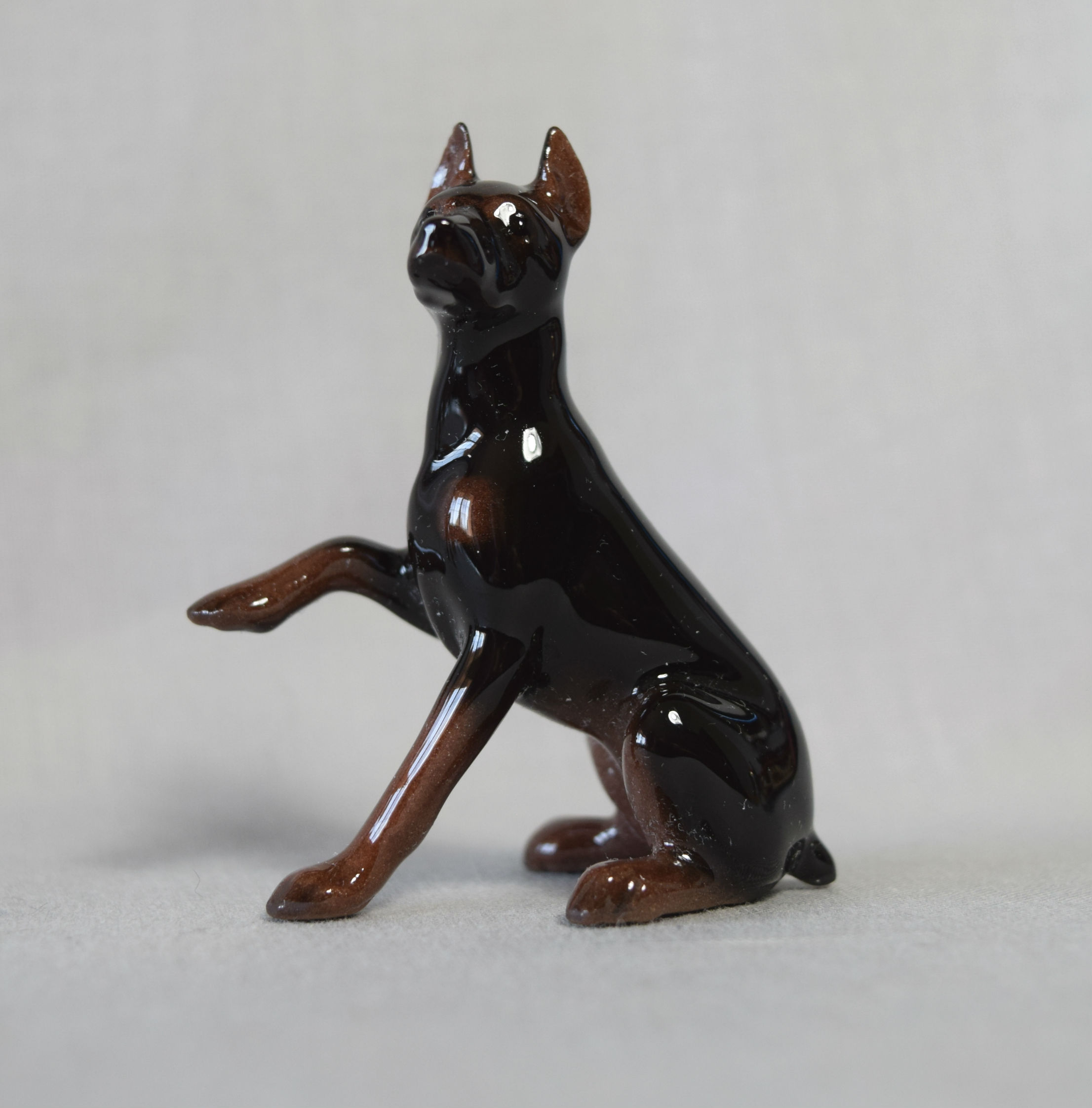 Doberman adult-image