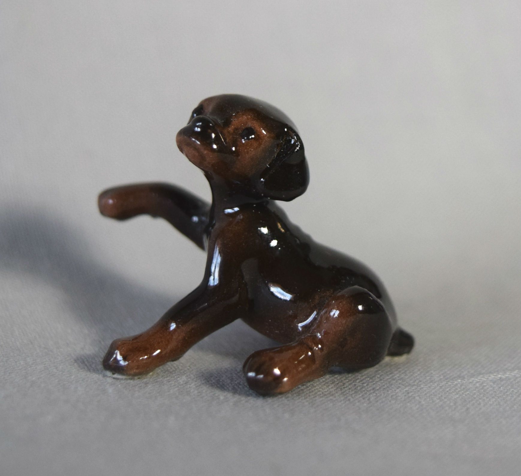 Doberman puppy-image