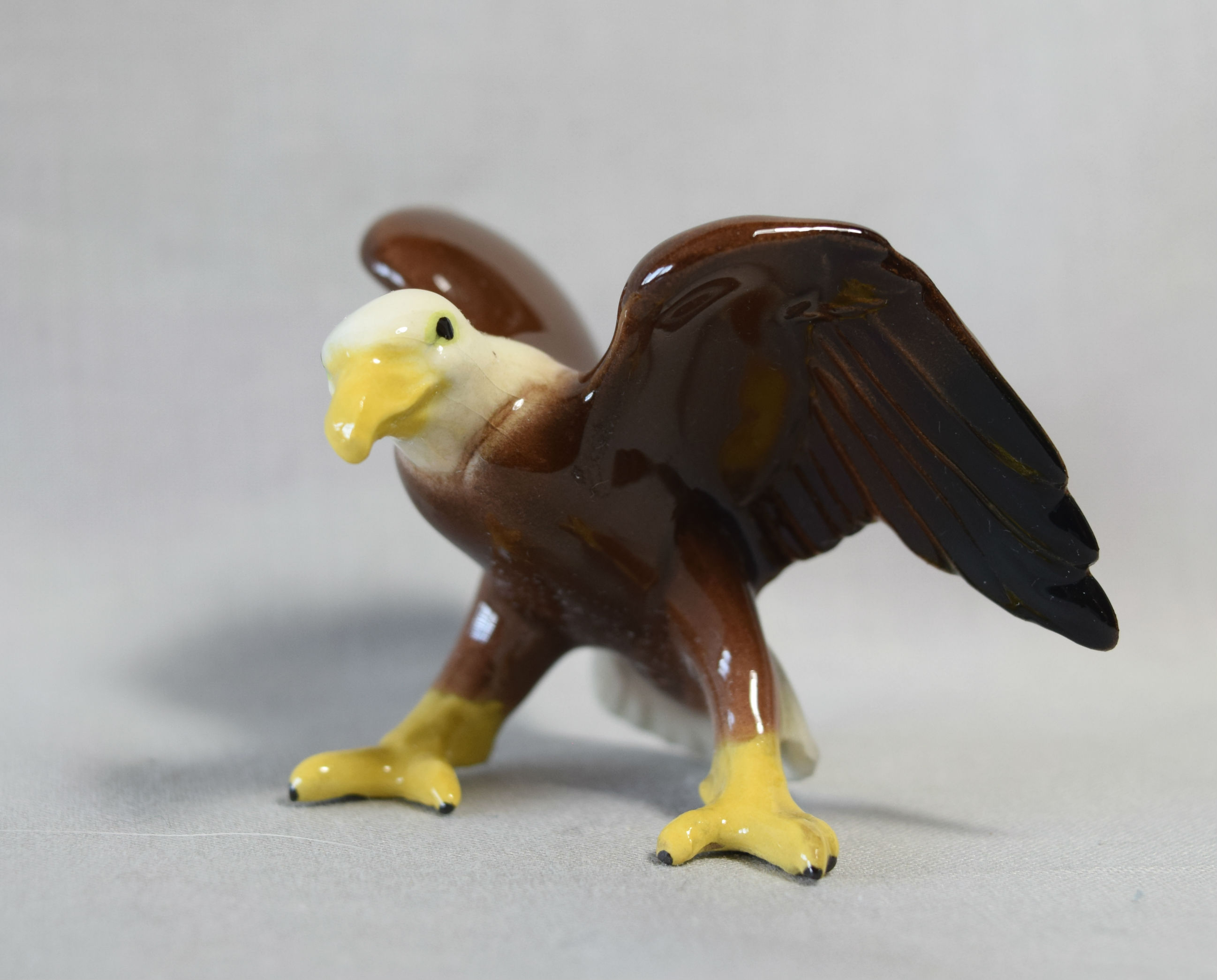 Eagle, head turned-image