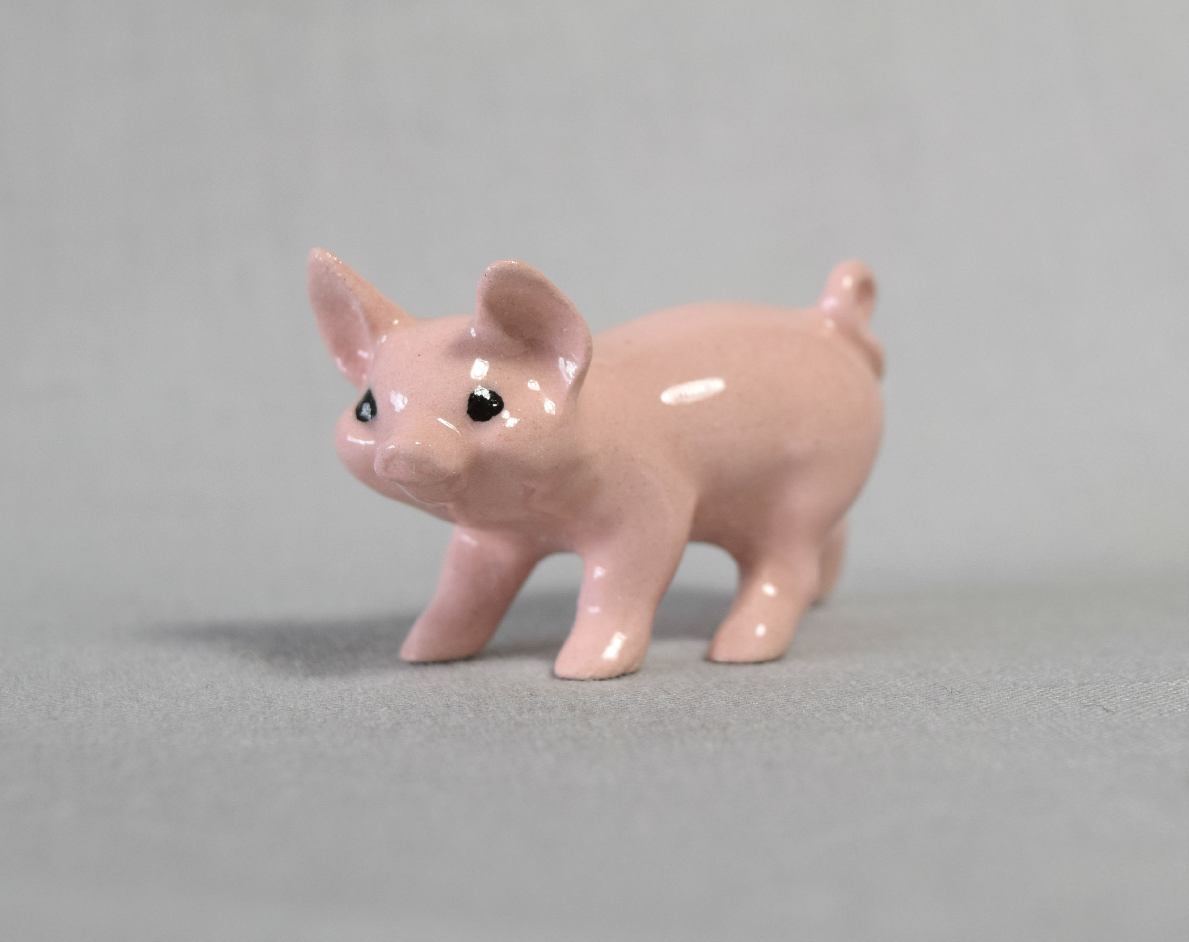 Pig, standing-image