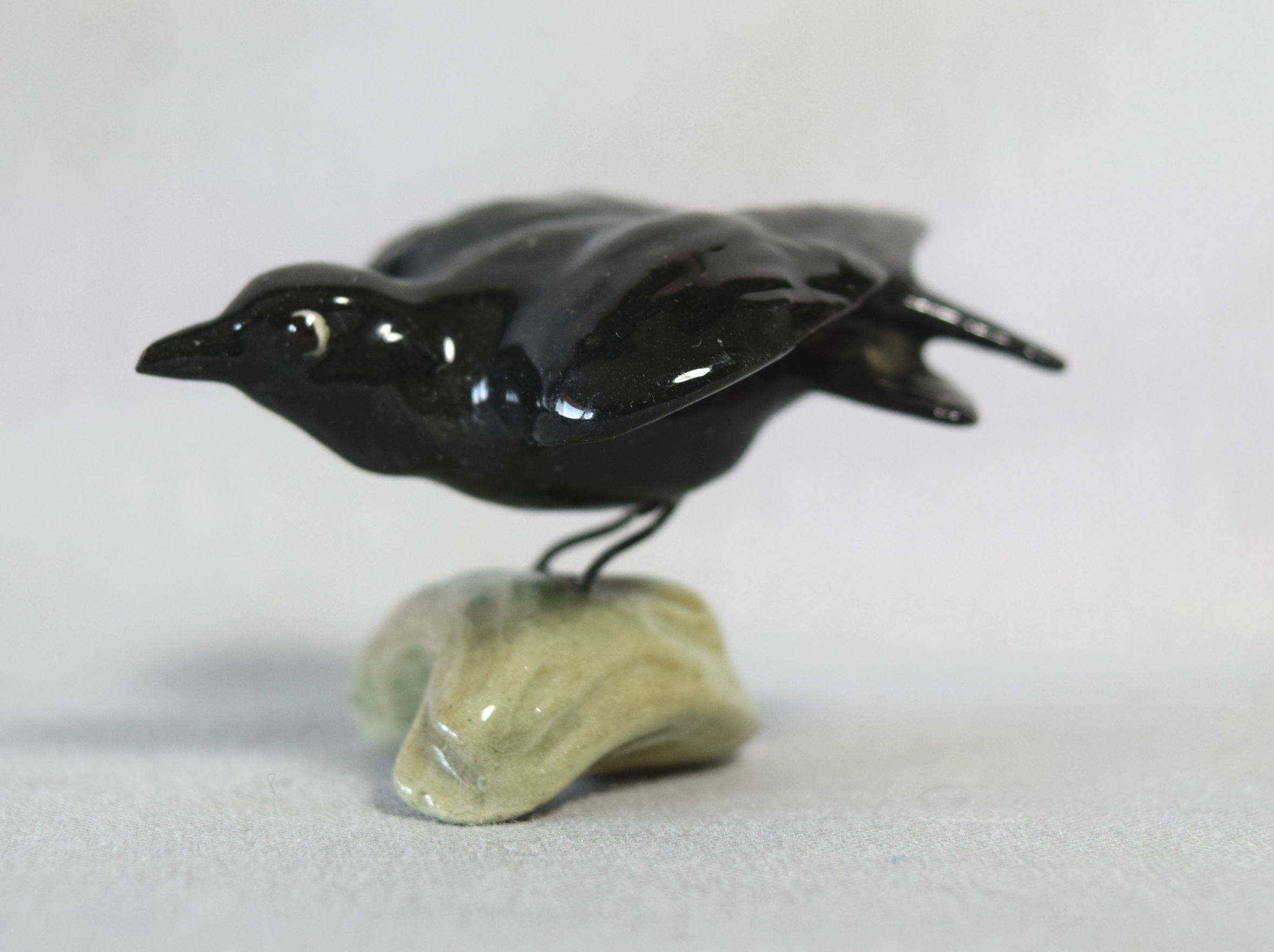 Crow/Bluebird, raised wings main image