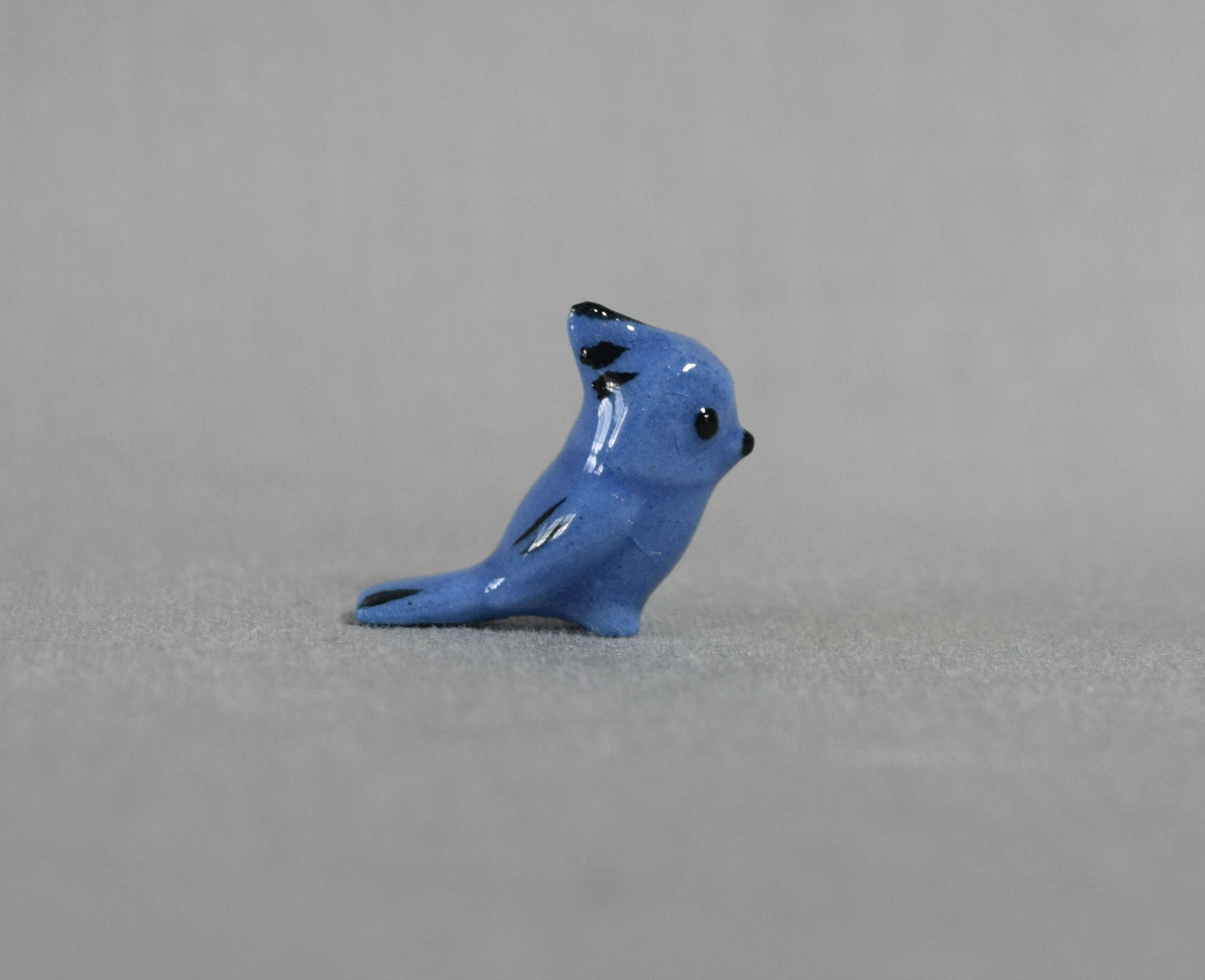 Bluebird / Blue Jay -image