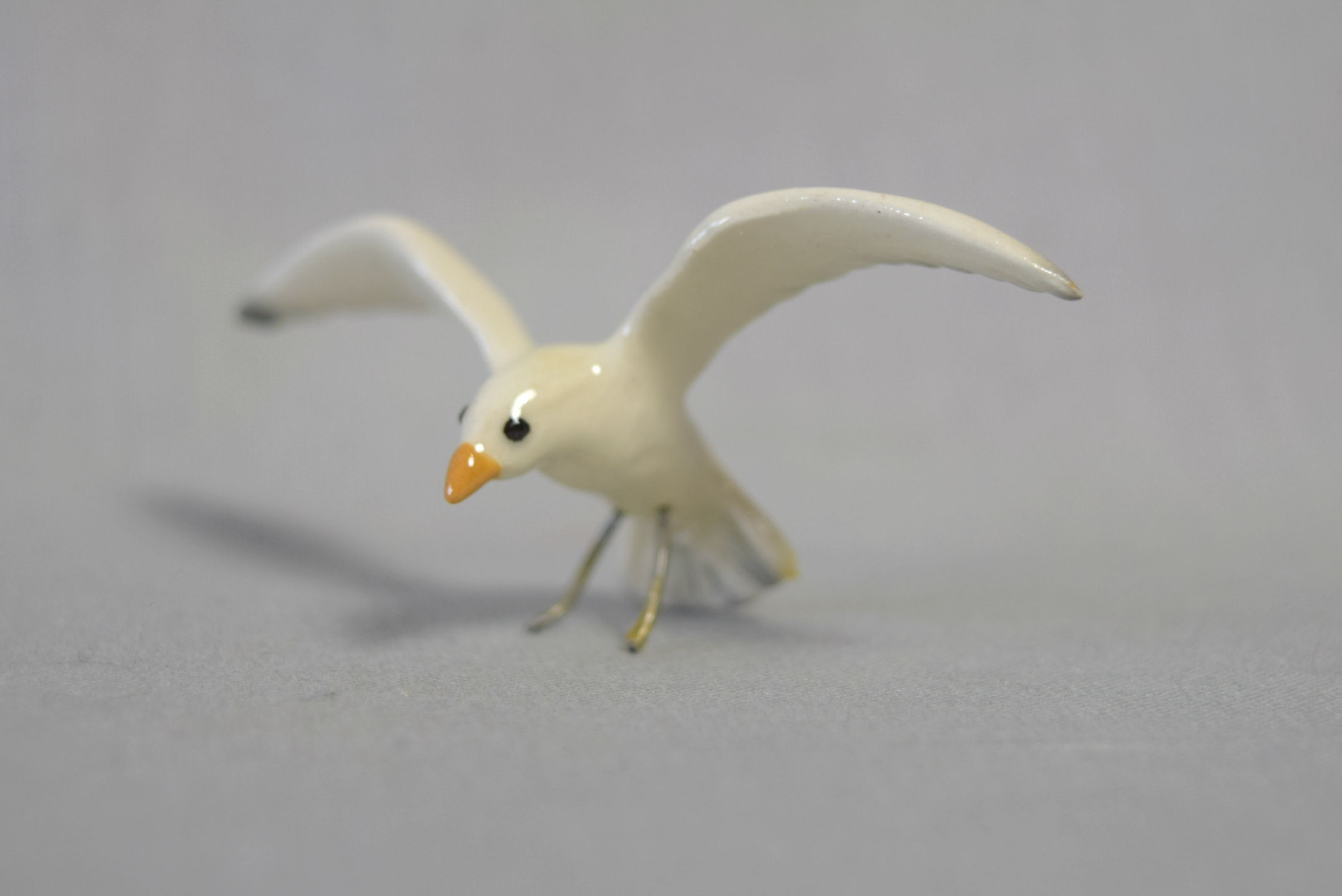 Seagull, landing  -image