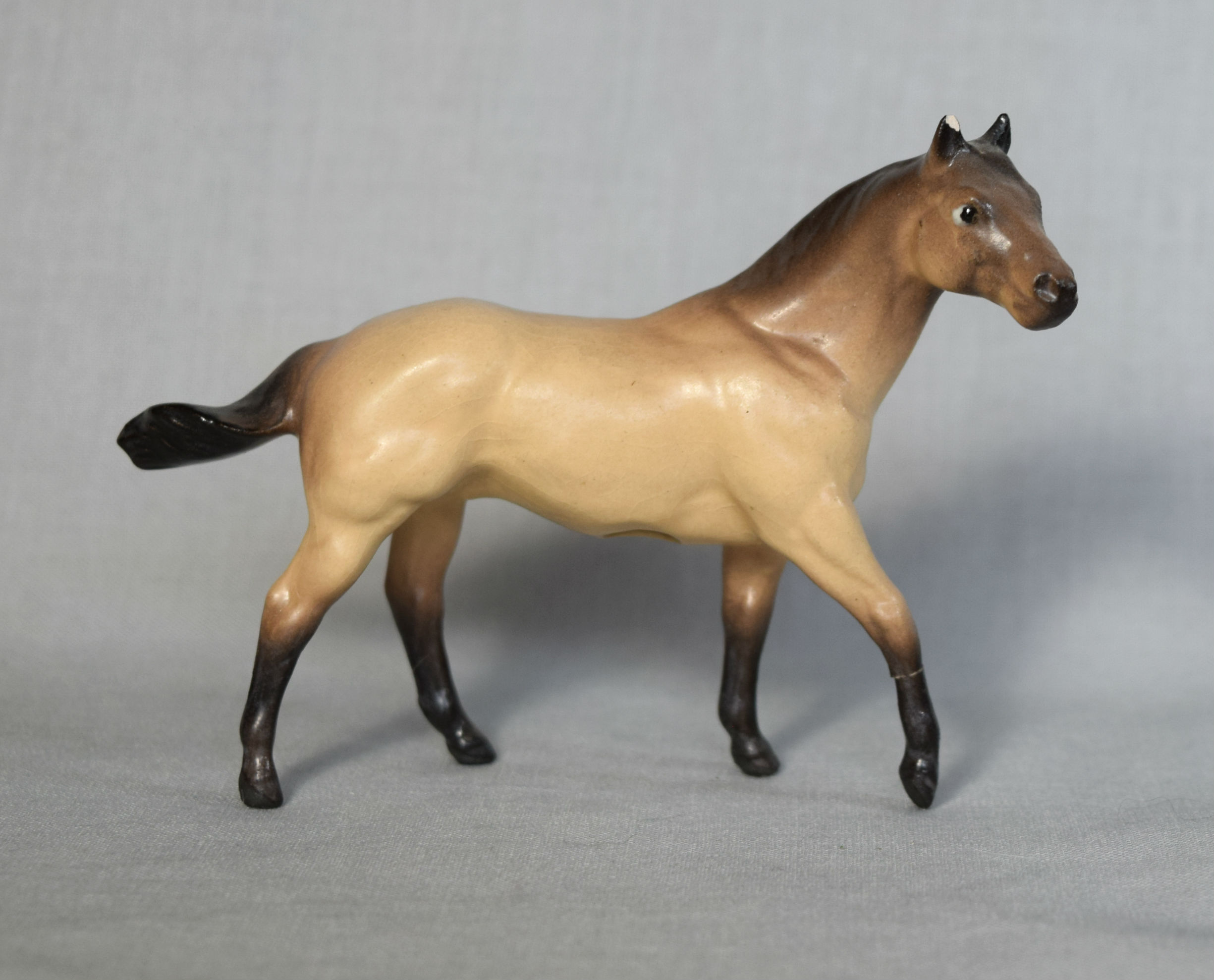 Quarter Horse Stallion-image