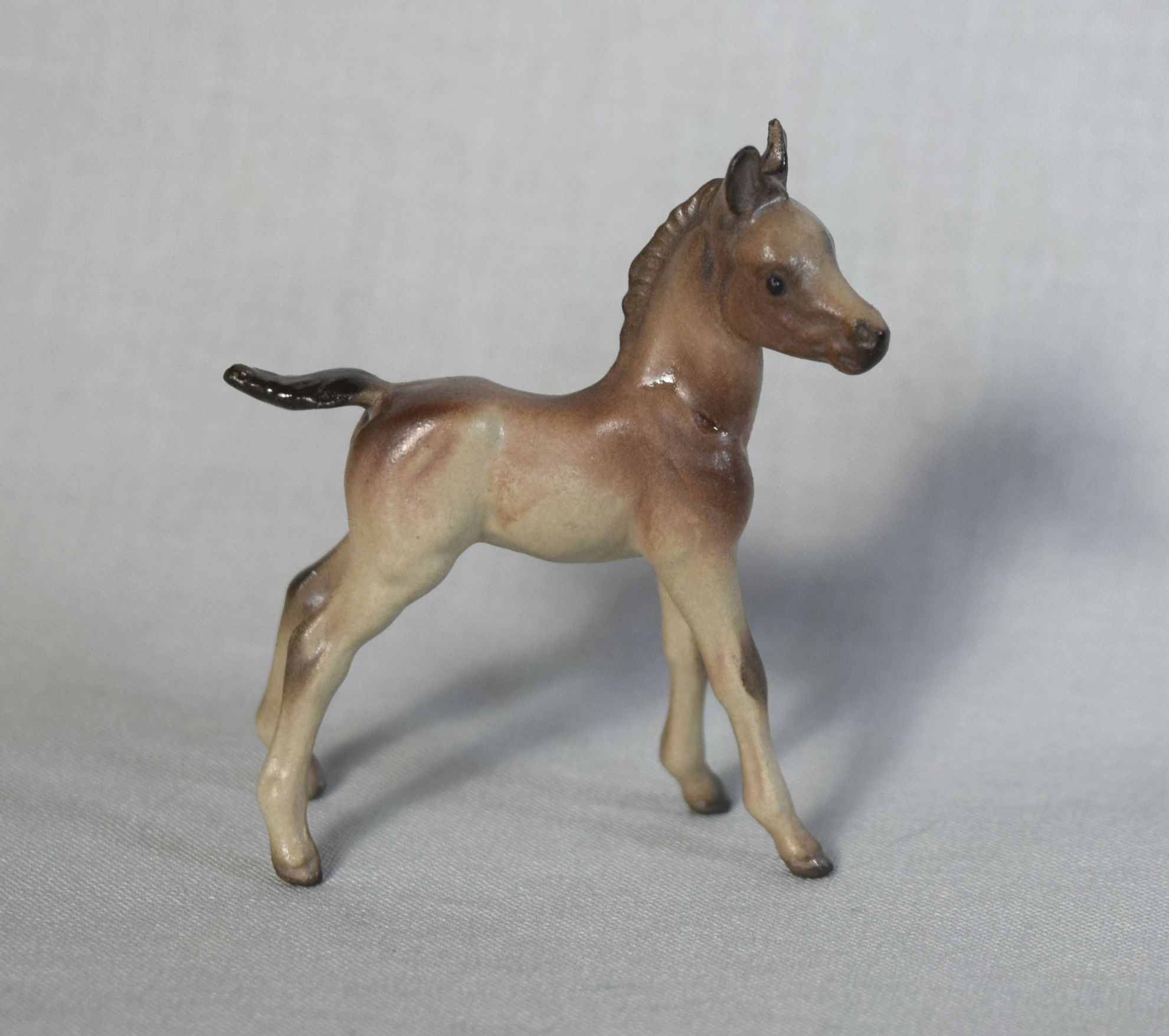 Arabian Foal, standing, tail pointing straight-image