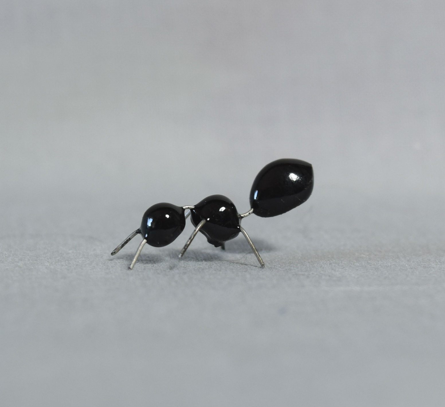 Ant, wire body-image