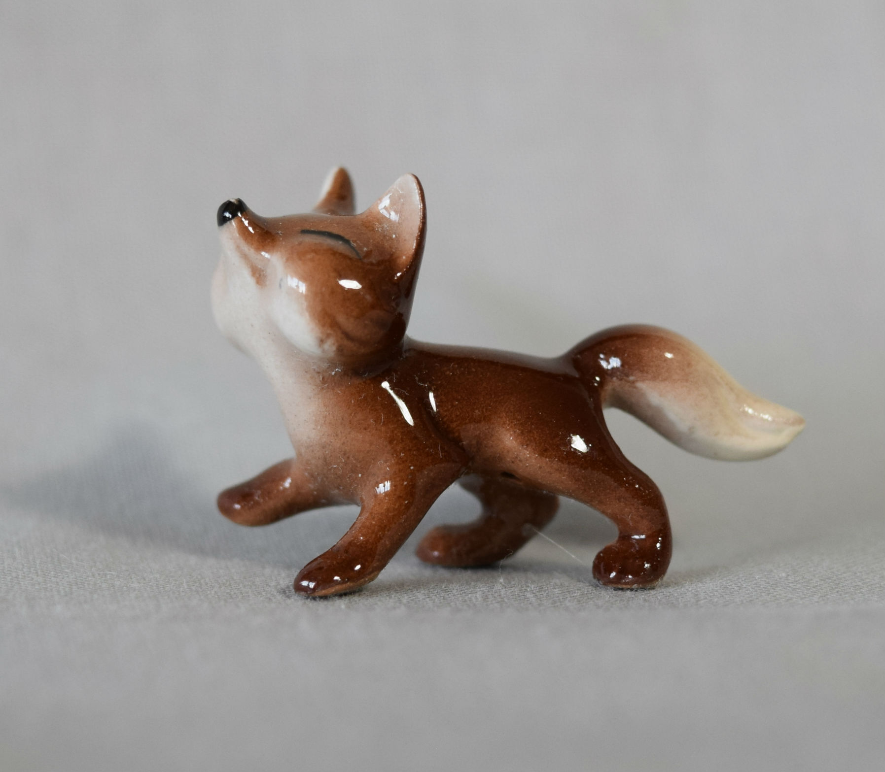 Fox baby, standing-image