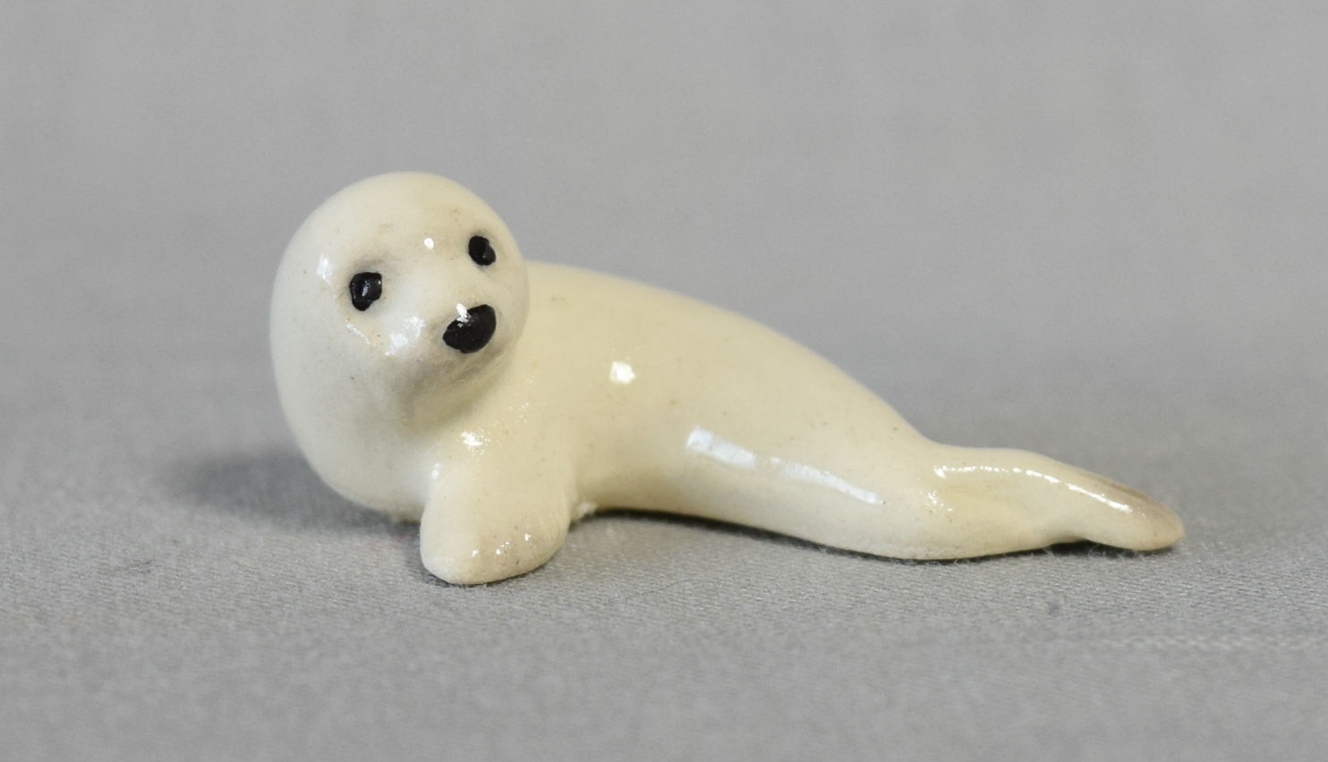 Harp Seal-image