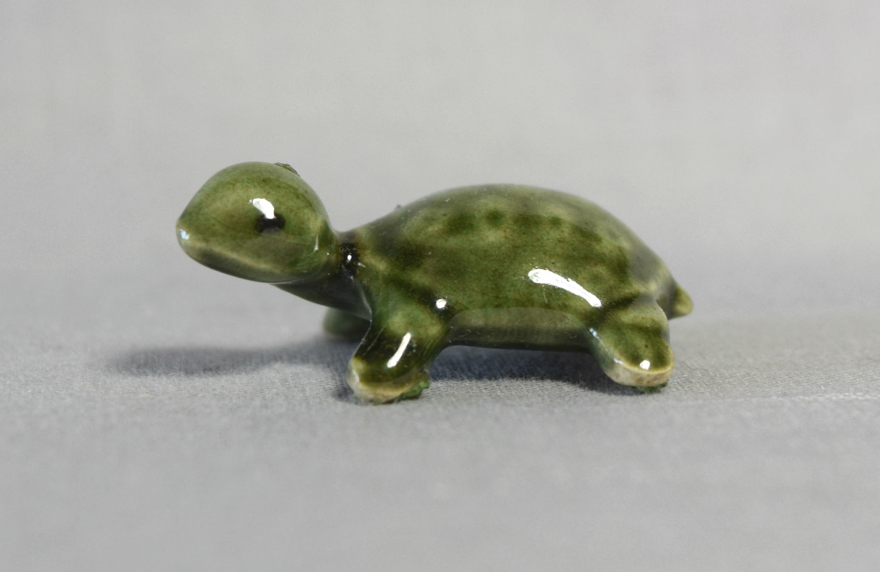 Turtle Baby-image