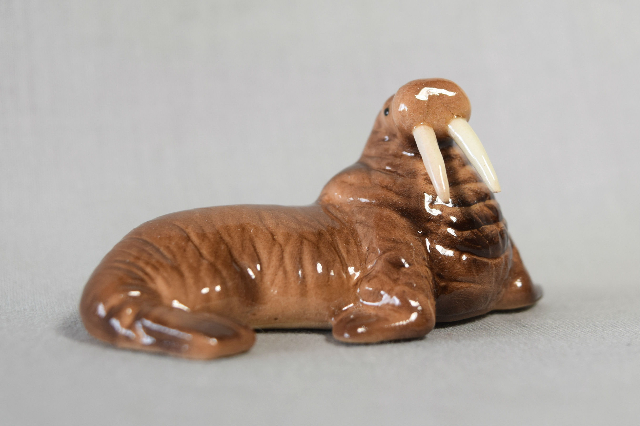 Walrus Mama-image