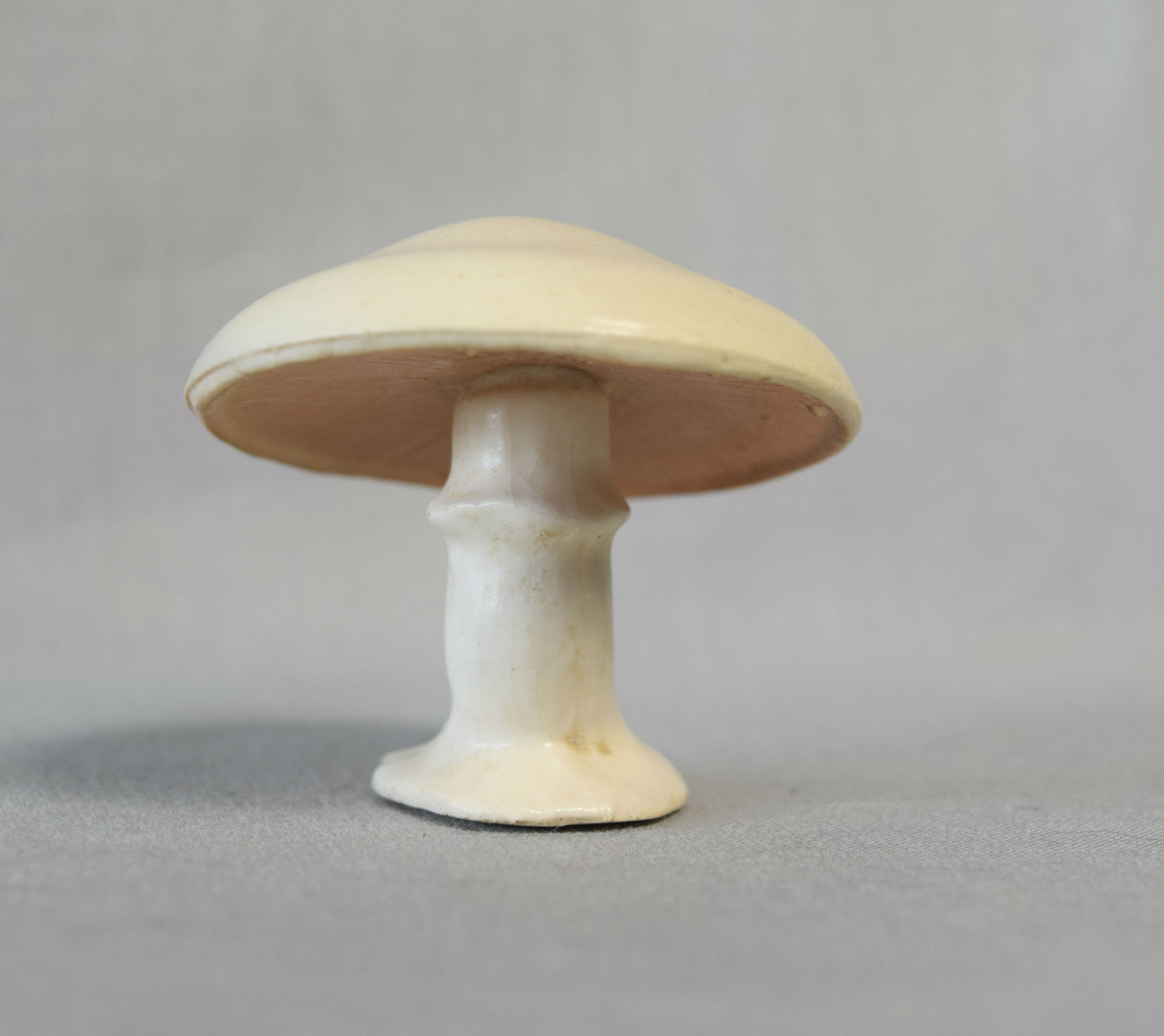 Toadstool, Medium-image