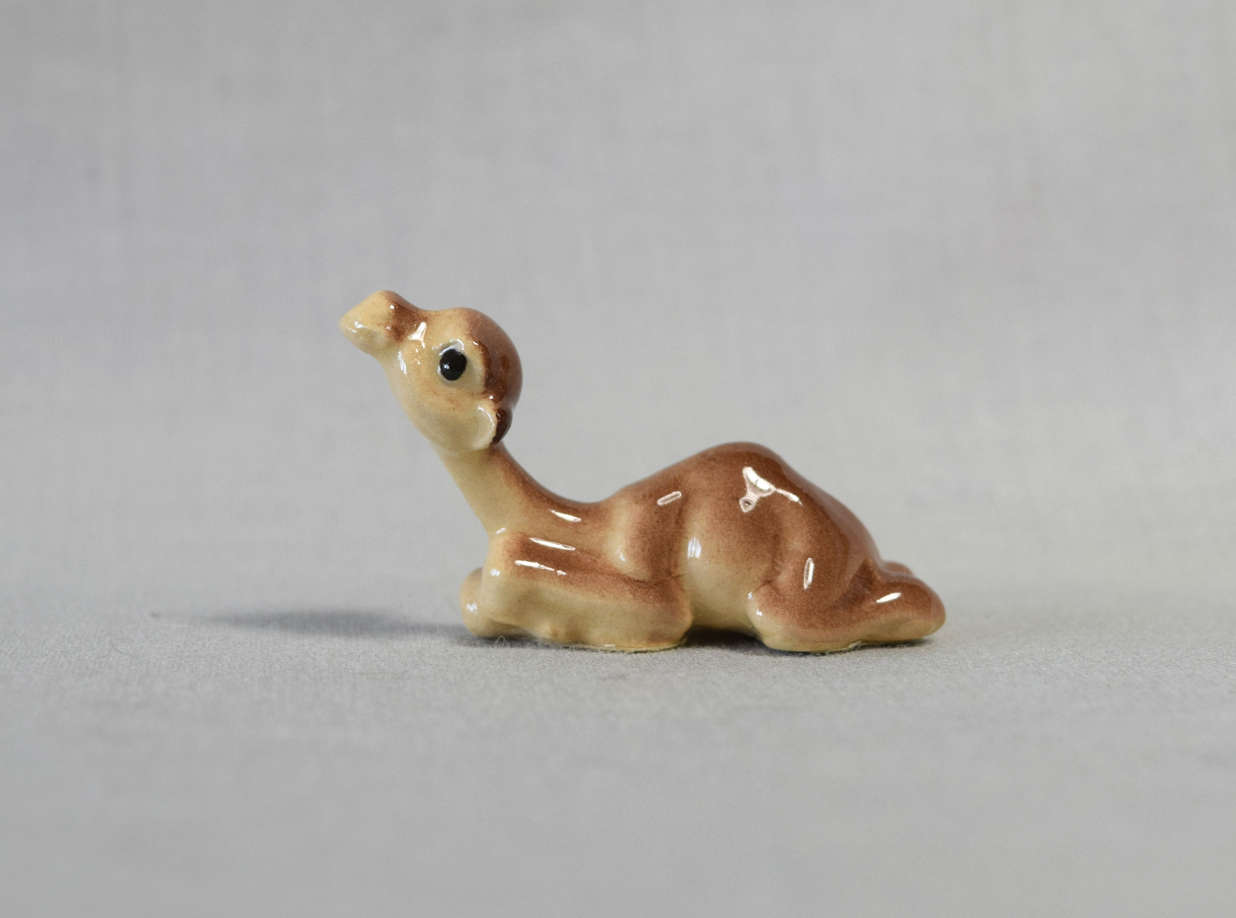 Camel Baby  -image