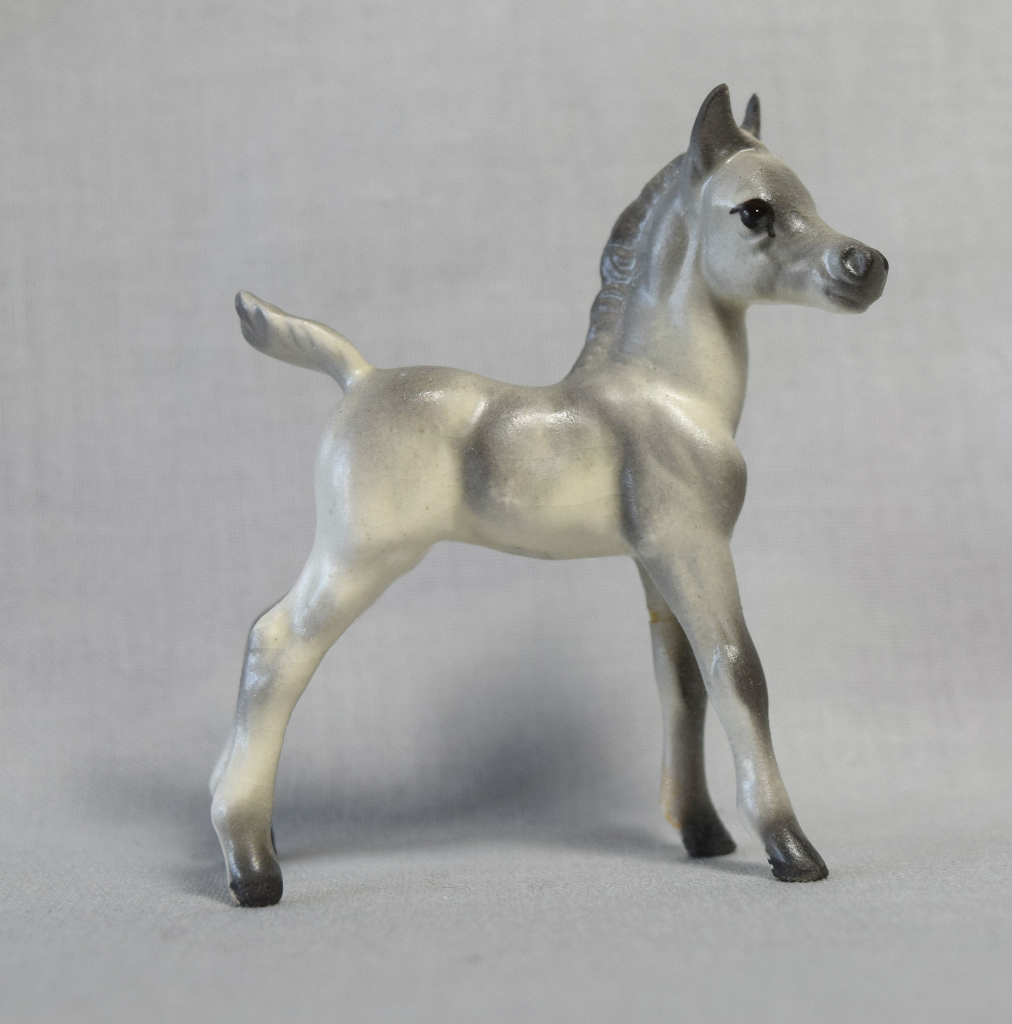 Arabian Foal, standing, tail pointed up main image