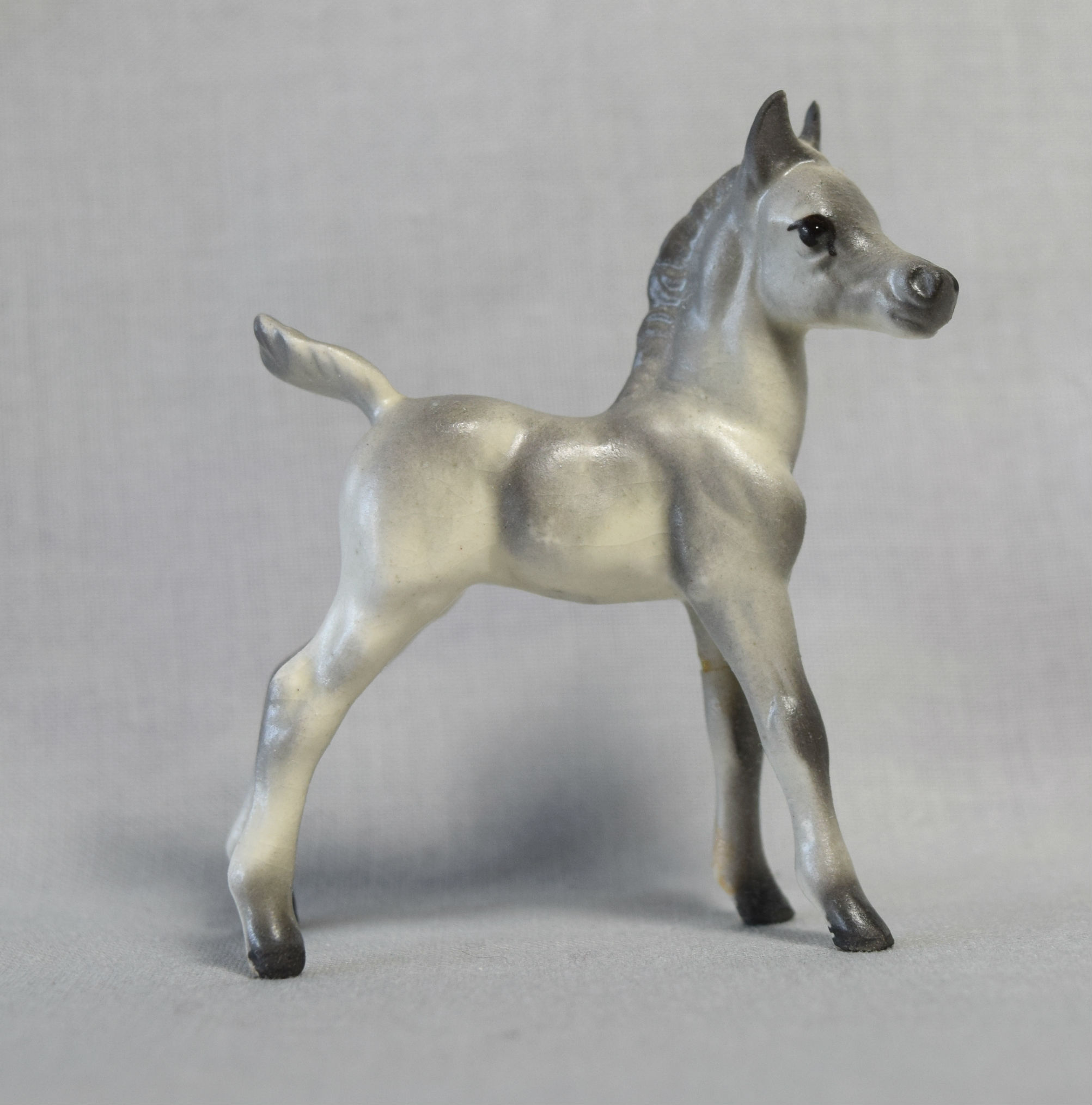 Arabian Foal, standing, tail pointed up-image