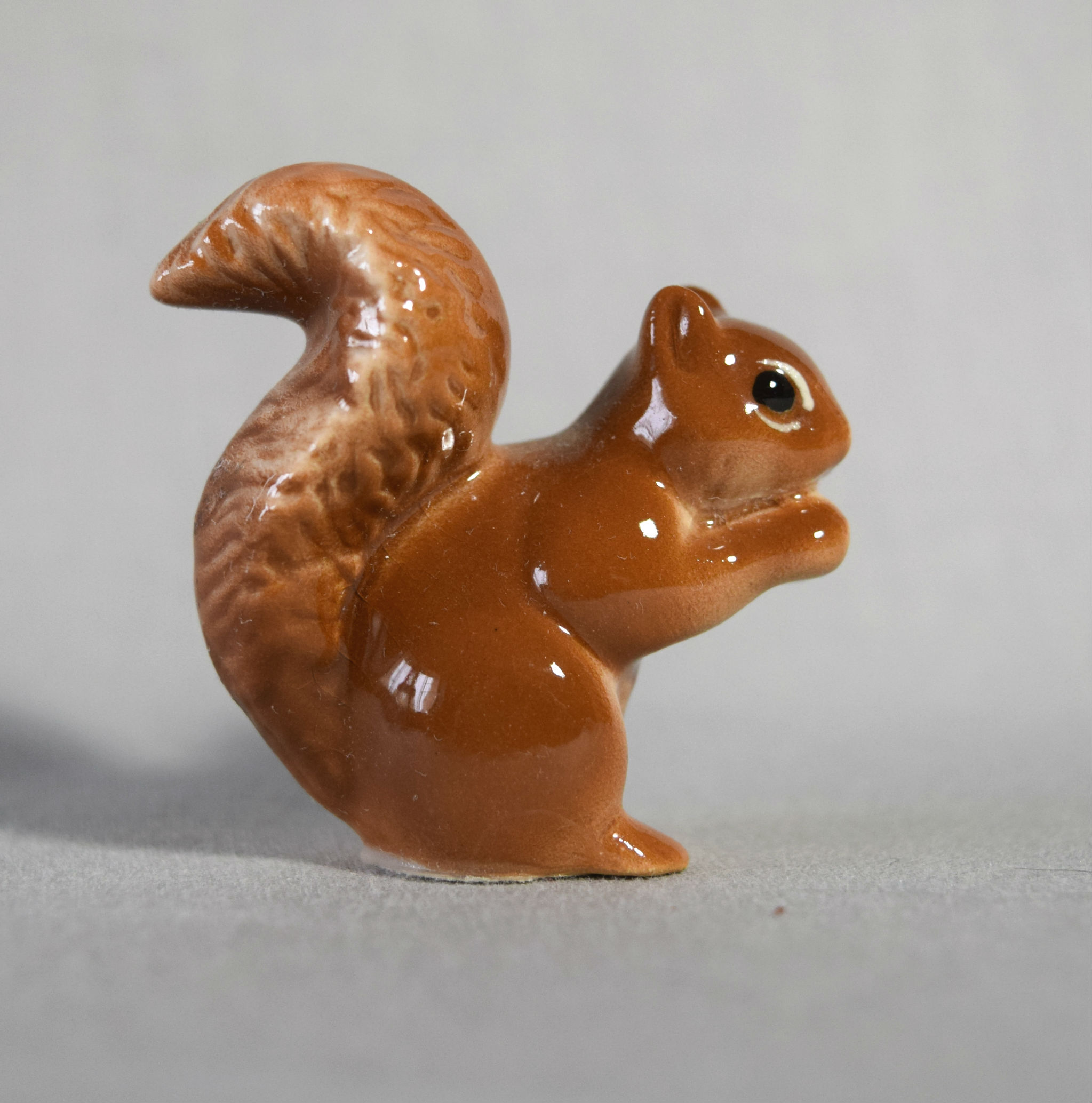 Squirrel, textured tail-image