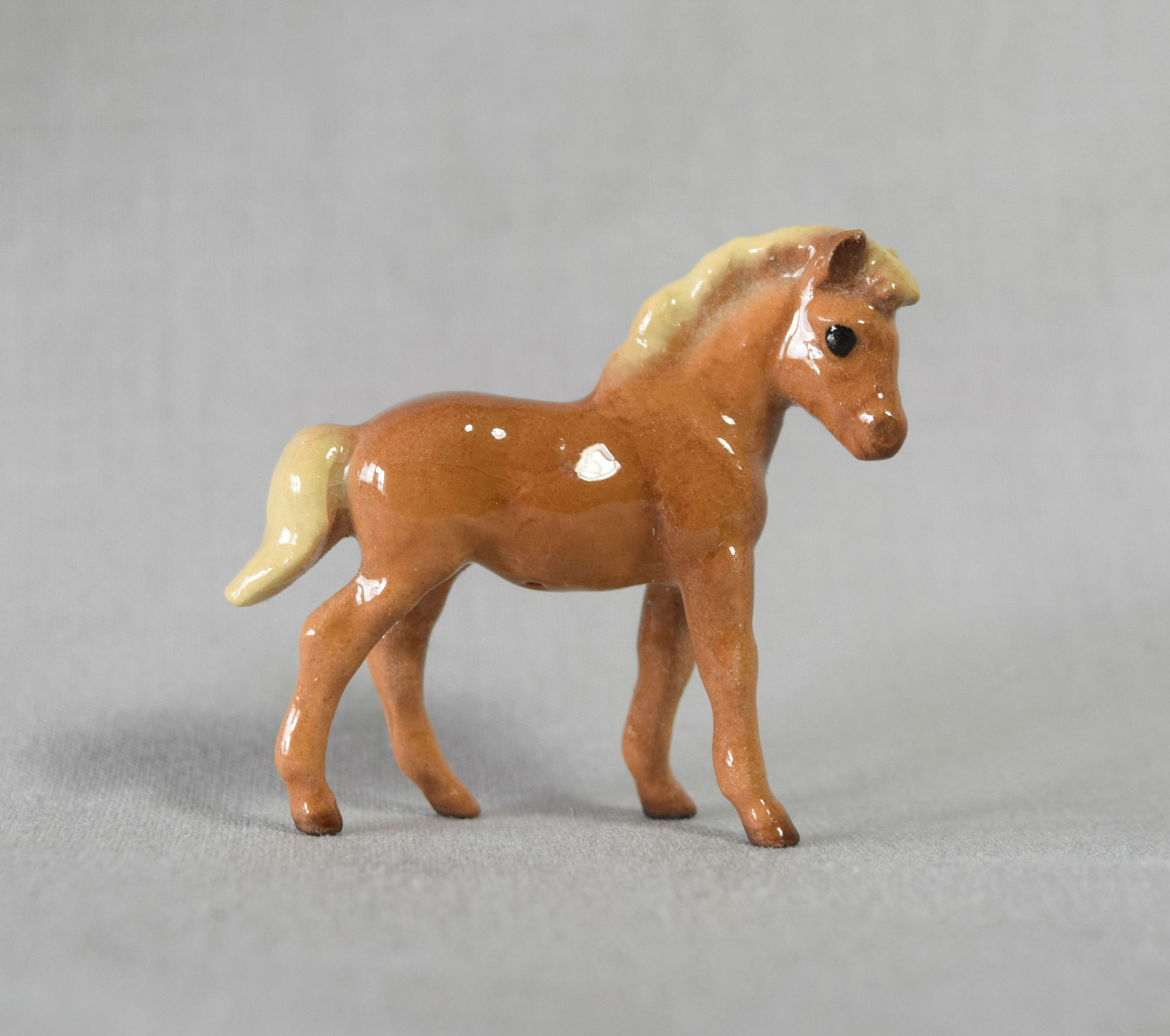 Shetland Pony Colt main image