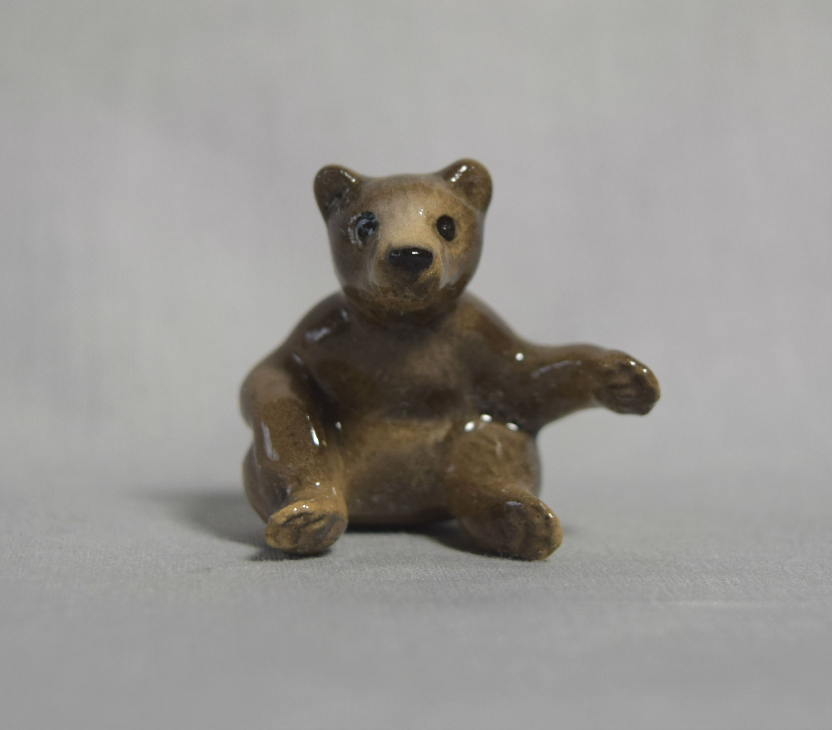 Grizzly Cub sitting main image