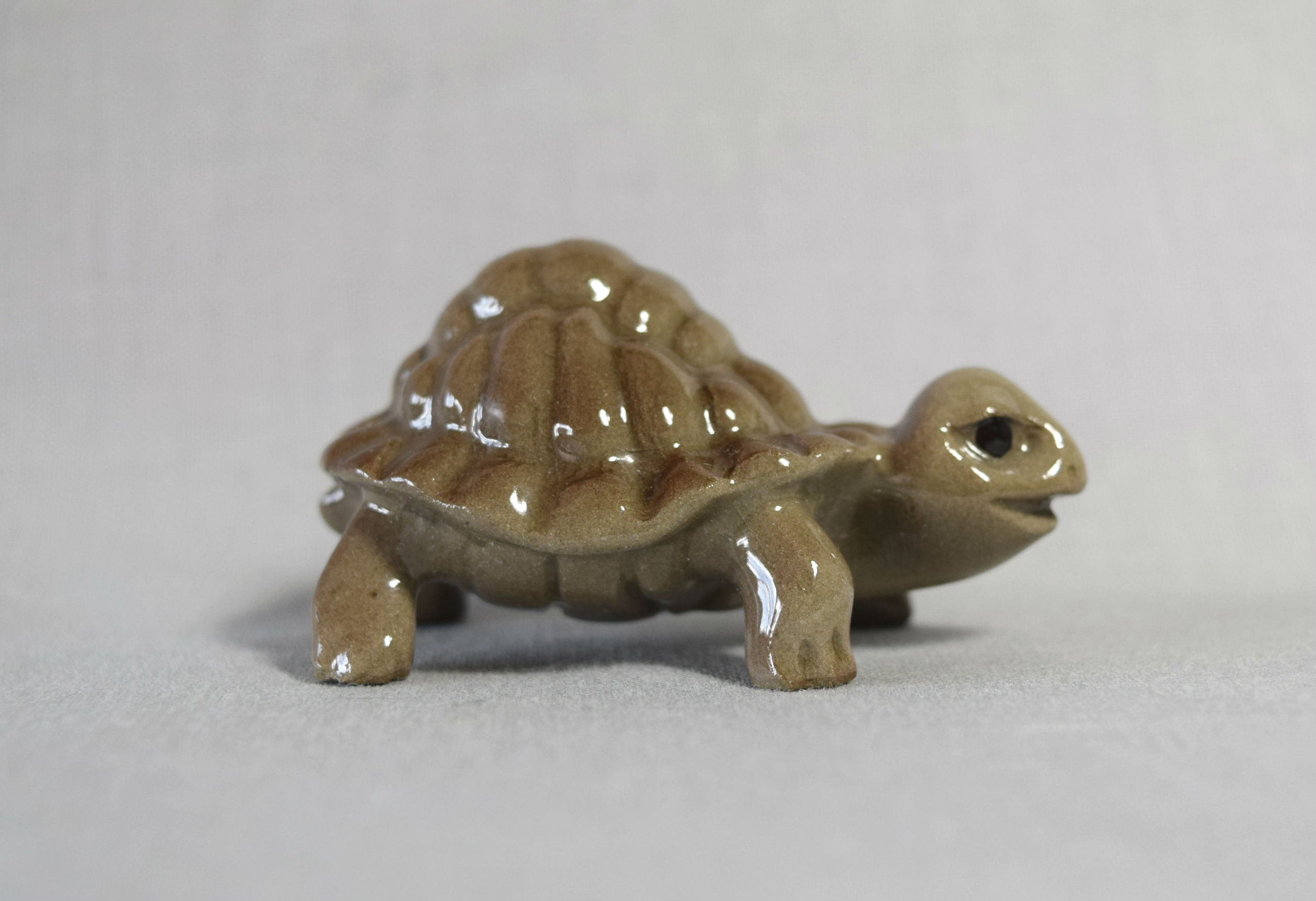 Tortoise with Pointed Shell-image