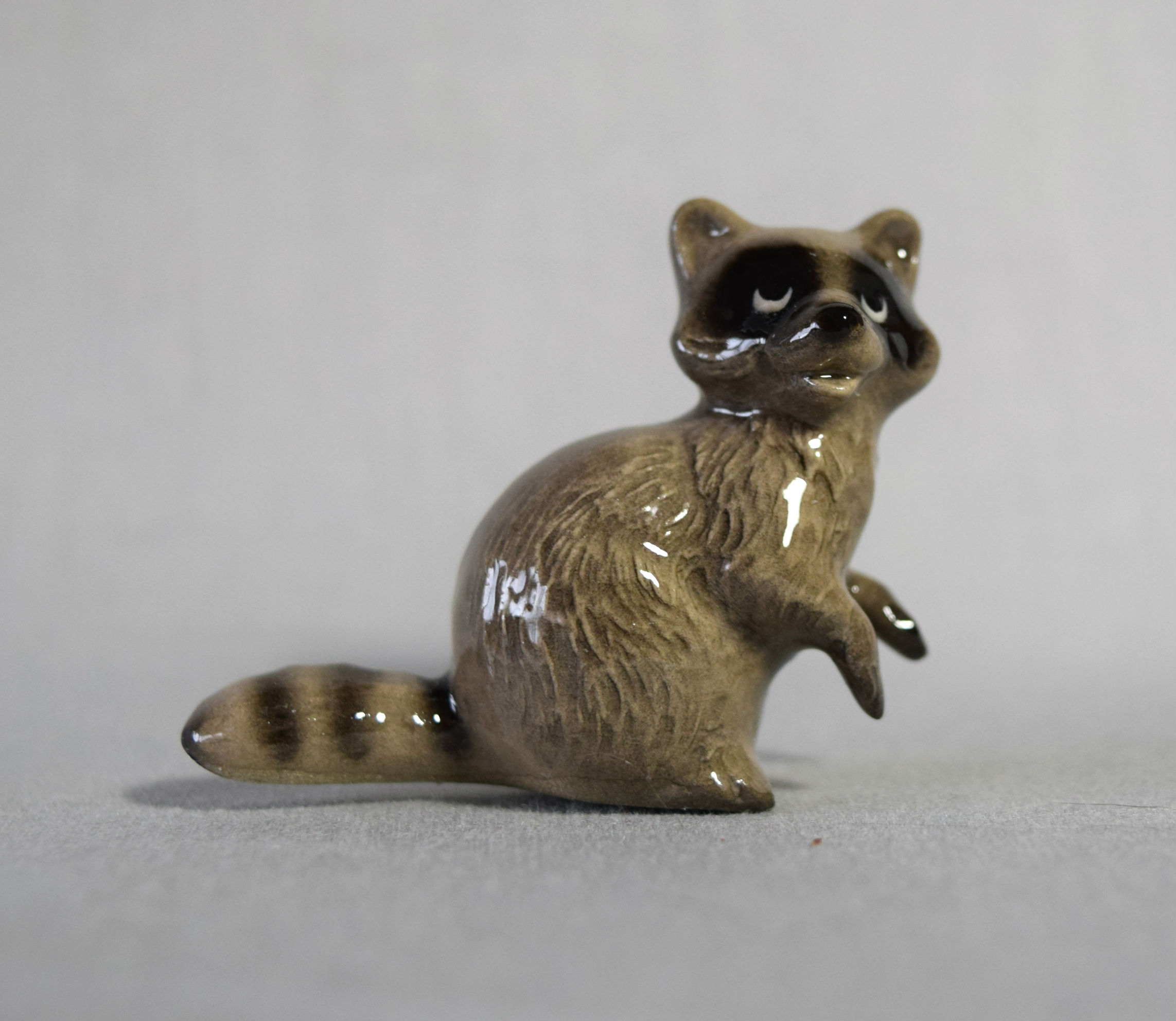 Raccoon Mama, head right-image